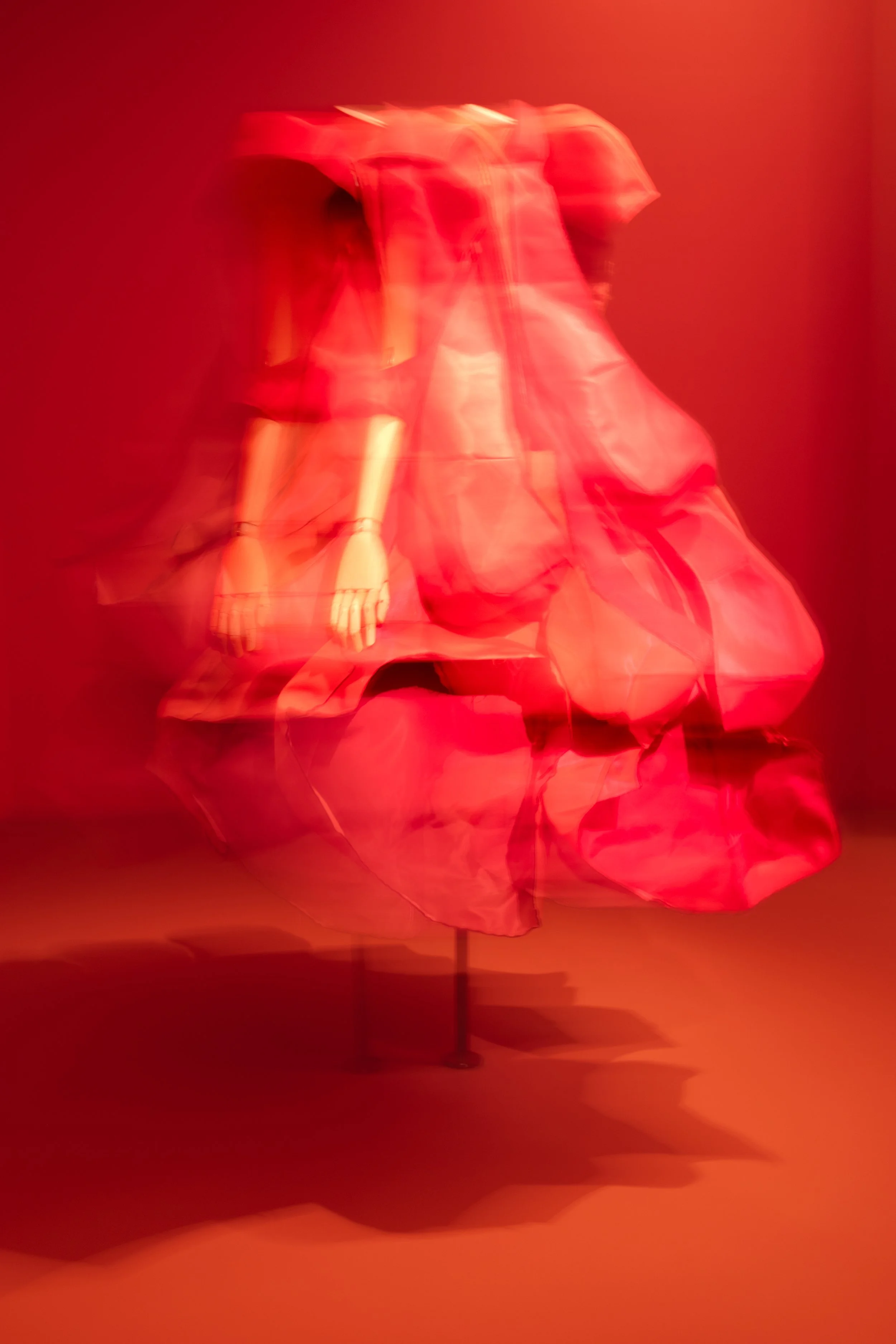 REDPETALS.jpg