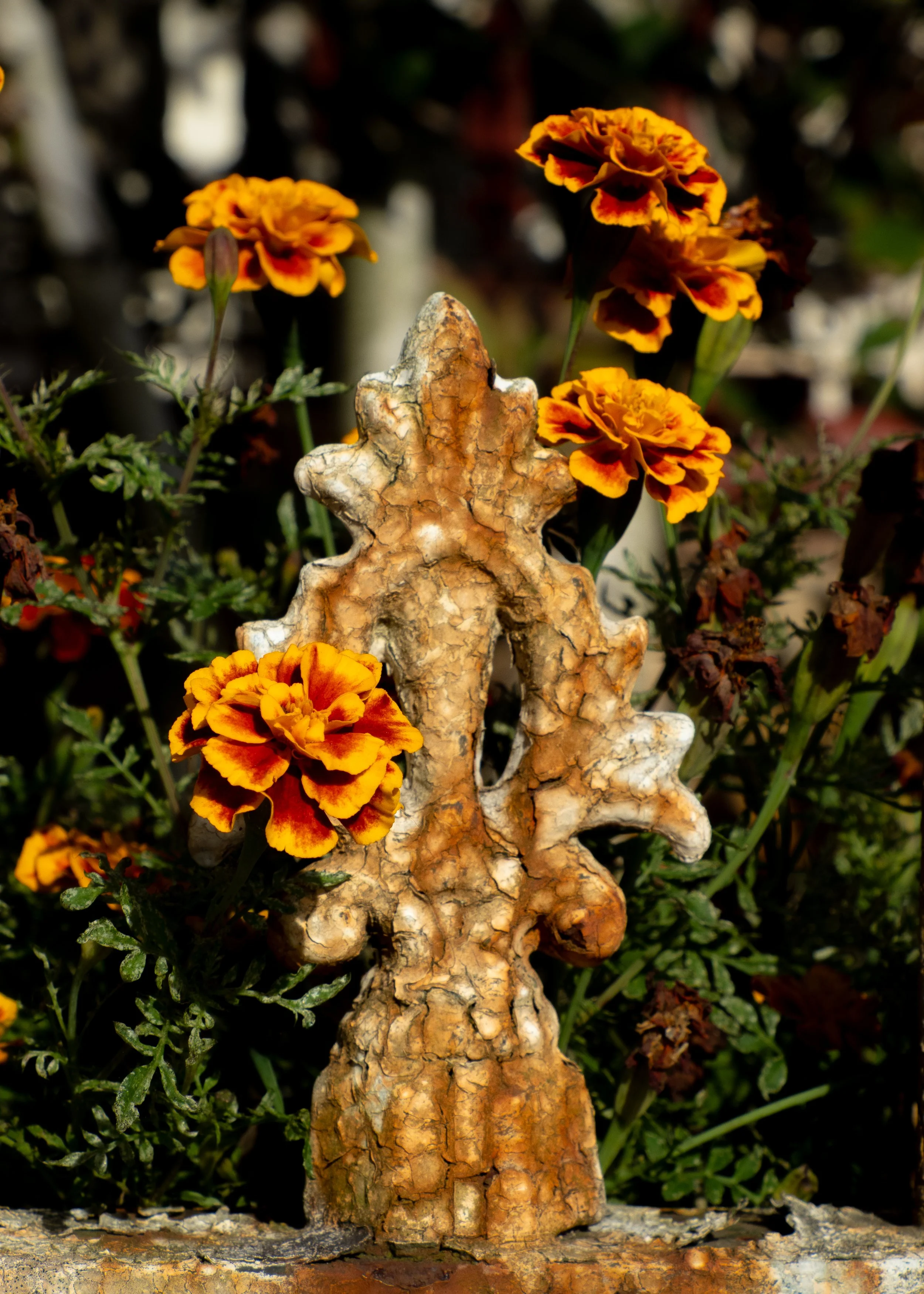 Rusty Marigolds.jpg