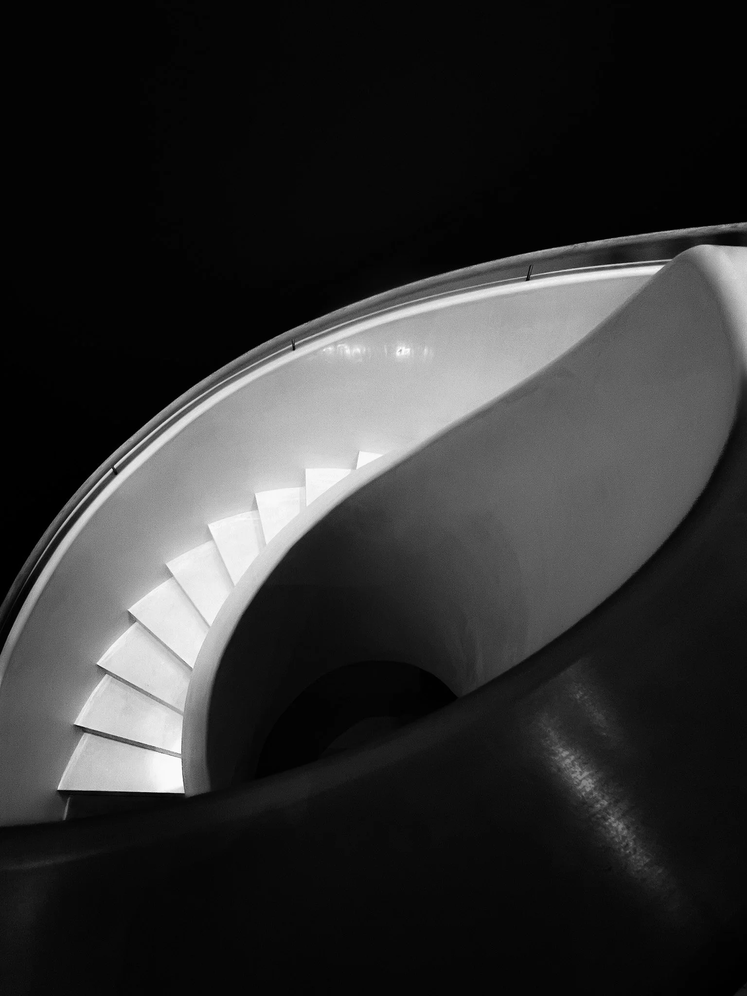 Nautilus i.jpg