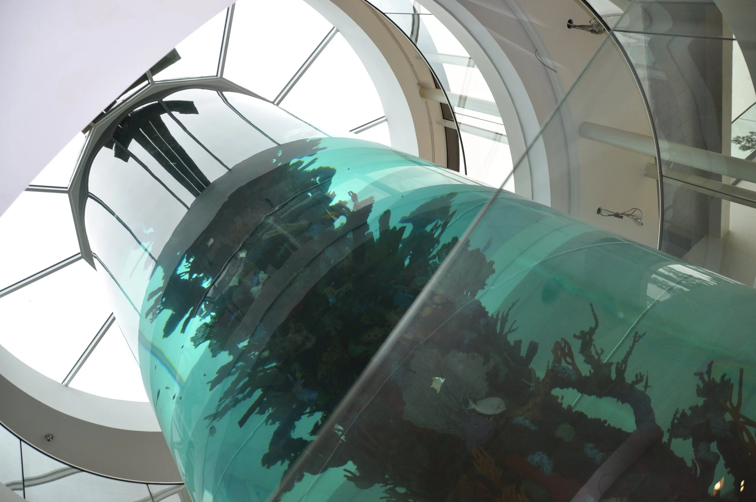 Interior of an observatory with a large glass geodesic dome and a telescope pointing outside.