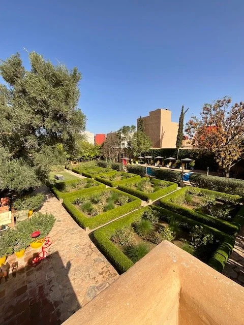 Moroccan Garden with green hedges, pathways, trees, and umbrellas, under a clear blue sky designed by Julian Hunter Architects