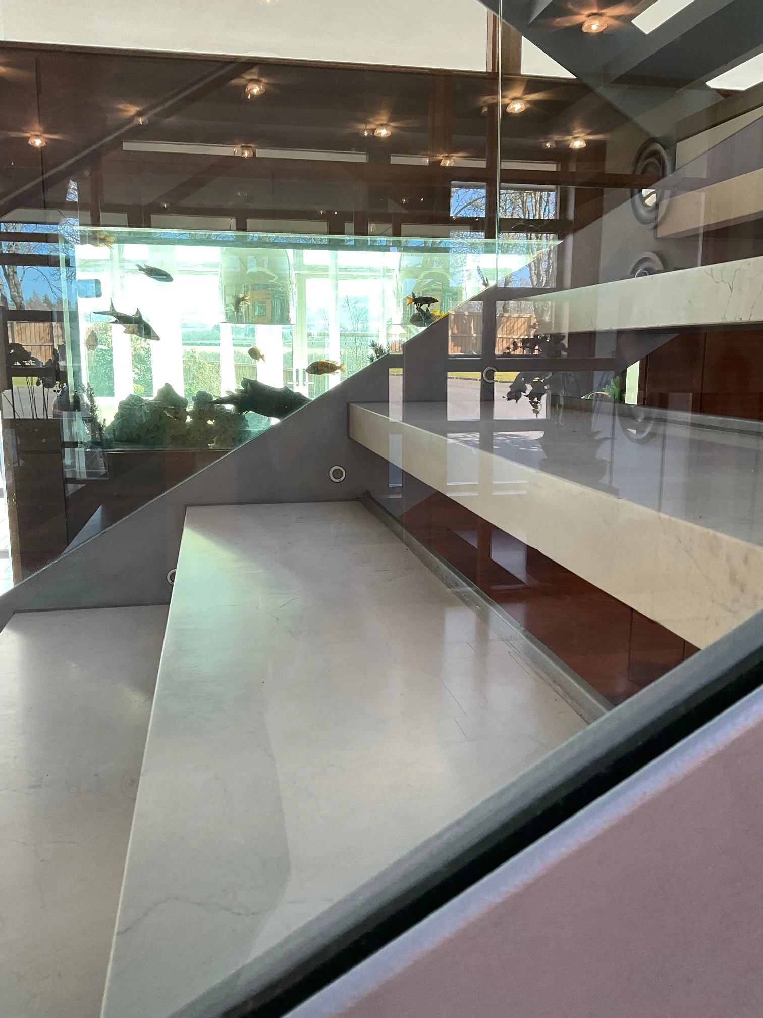 Reflection of a staircase with glass railing, inside a building with large windows showing blue sky and outdoor trees.