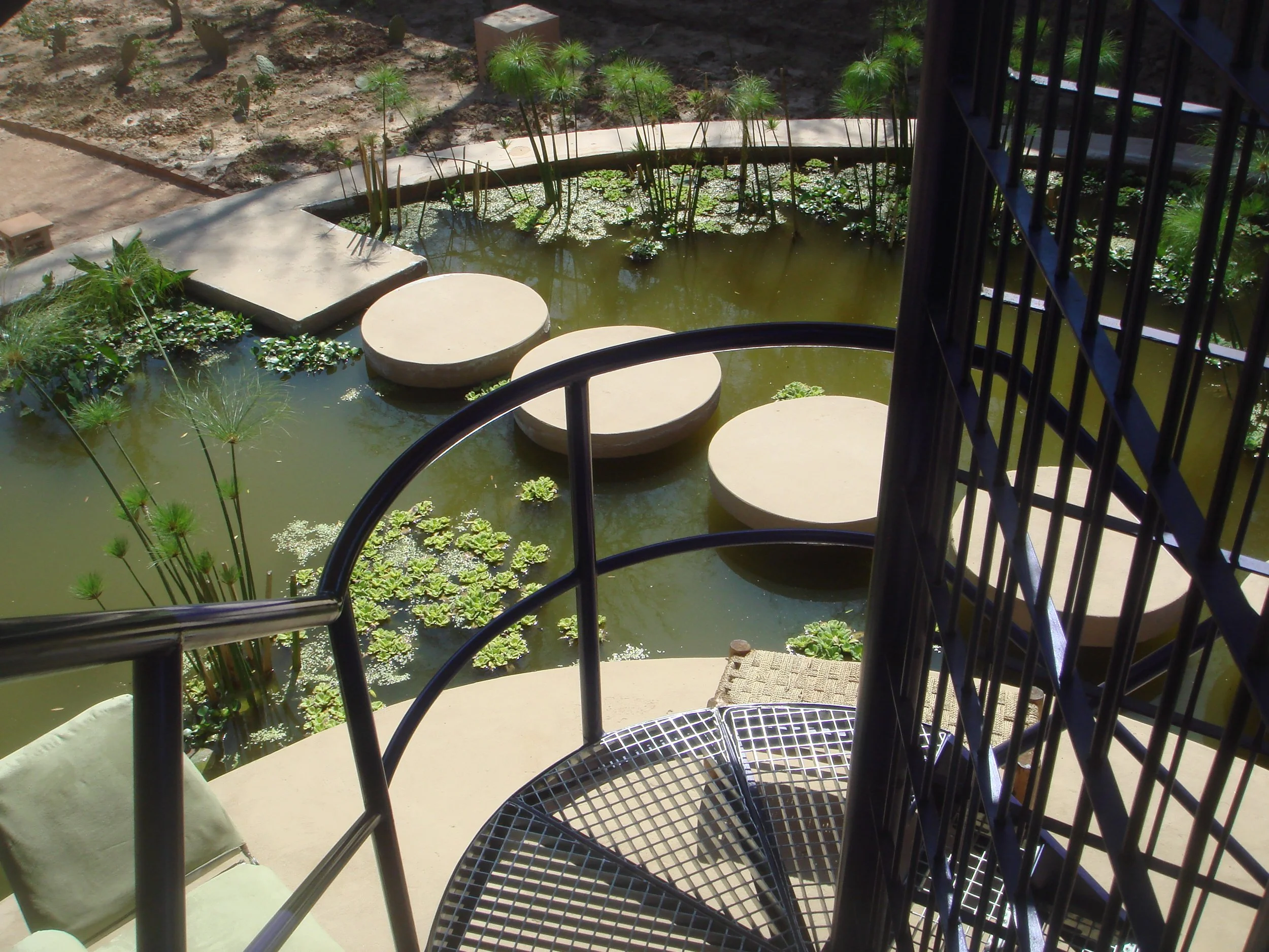 View from a balcony or patio with black metal railings, overlooking a small pond or water feature with floating plants, round stepping stones, and surrounding greenery, including cacti and papaya plants.