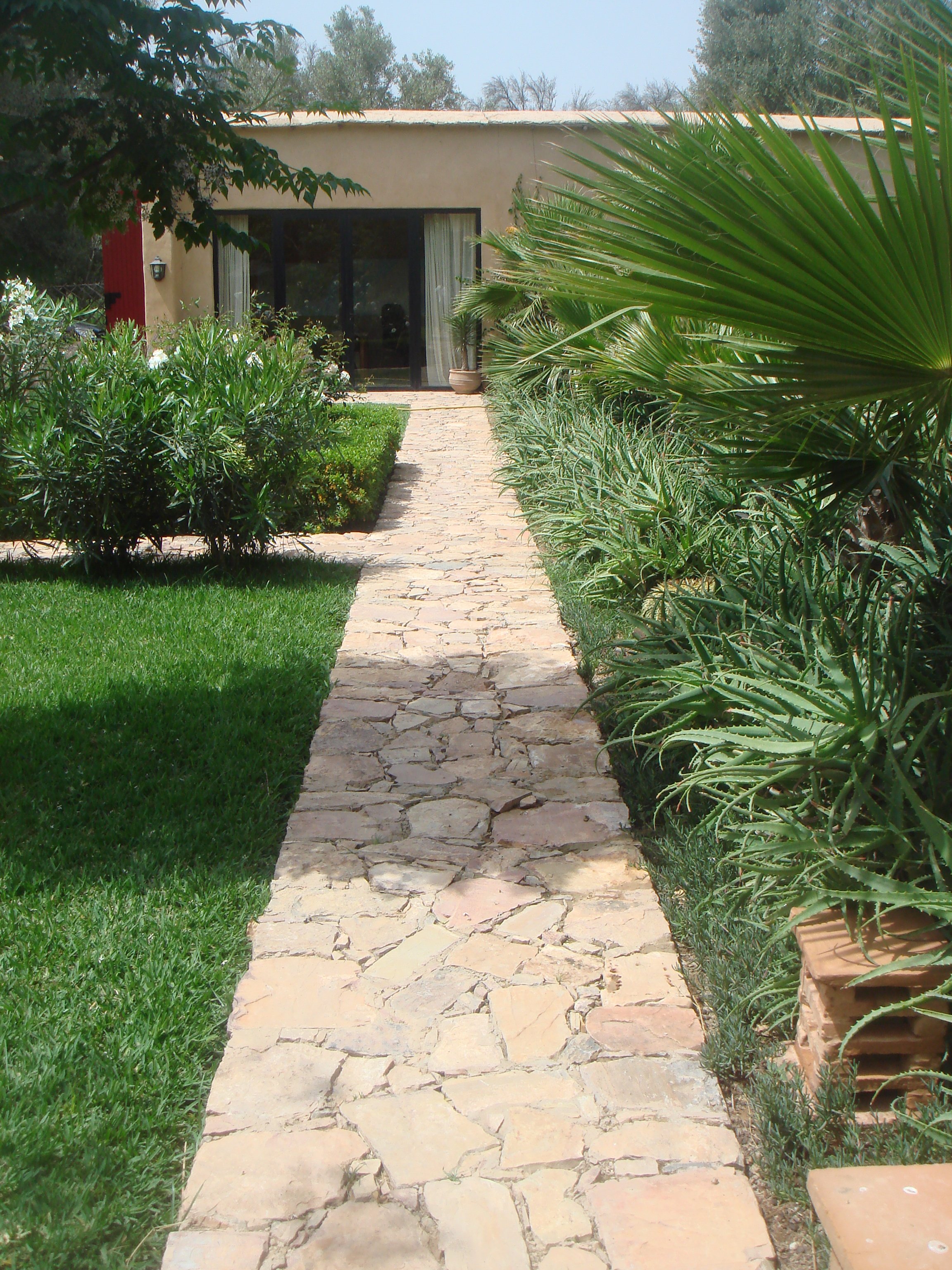 A stone pathway in Morocco leading to a house with a large glass door, surrounded by lush green plants and bushes on both sides.