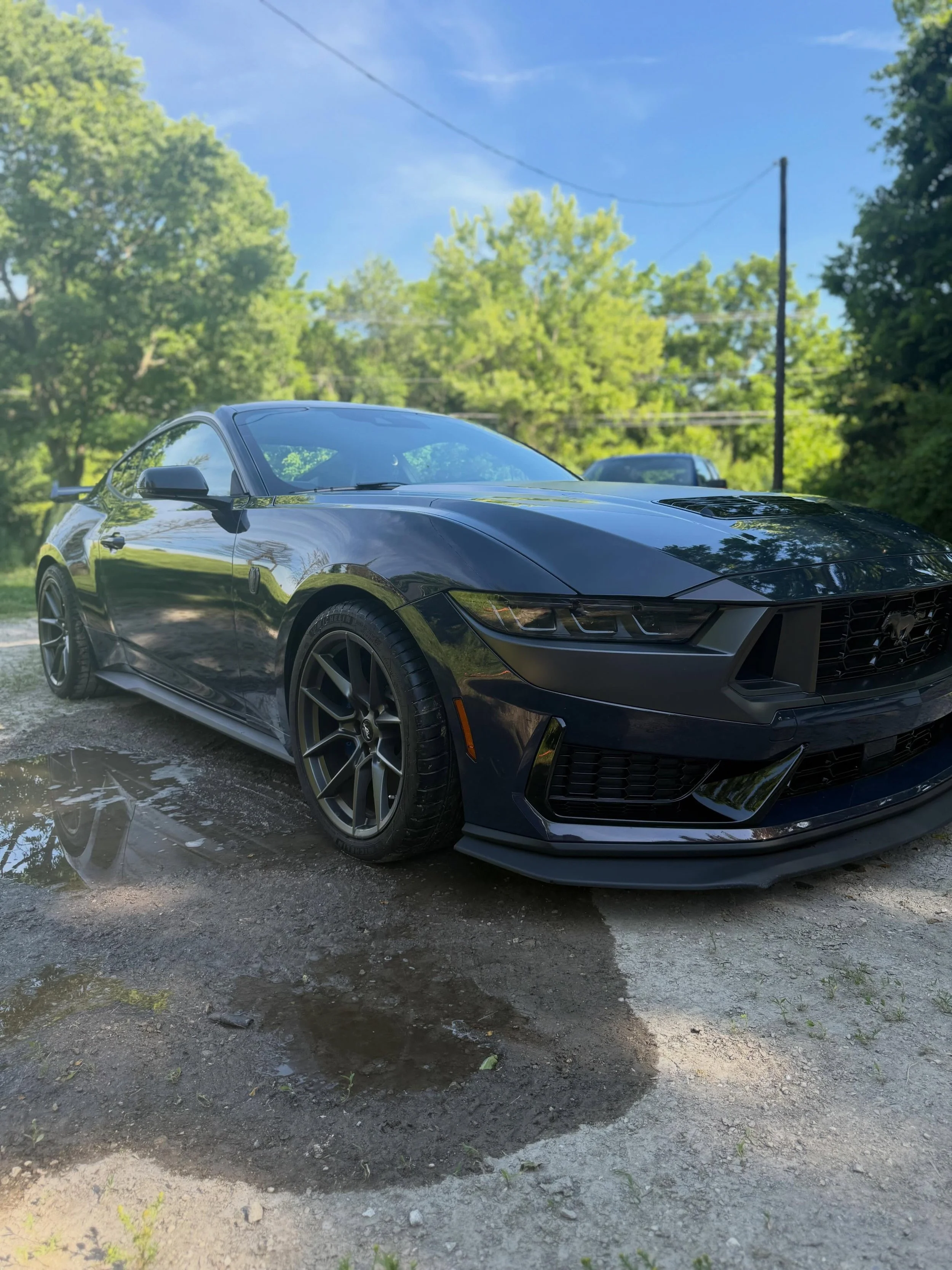 2025 Ford Mustang Dark Horse. Got our Foundation Package which included a decontamination, deep exterior detail, glass cleaned, with the wheels deep cleaned and tires dressed with the Cabin Refinement add-on! 

See, not every car needs correction. So
