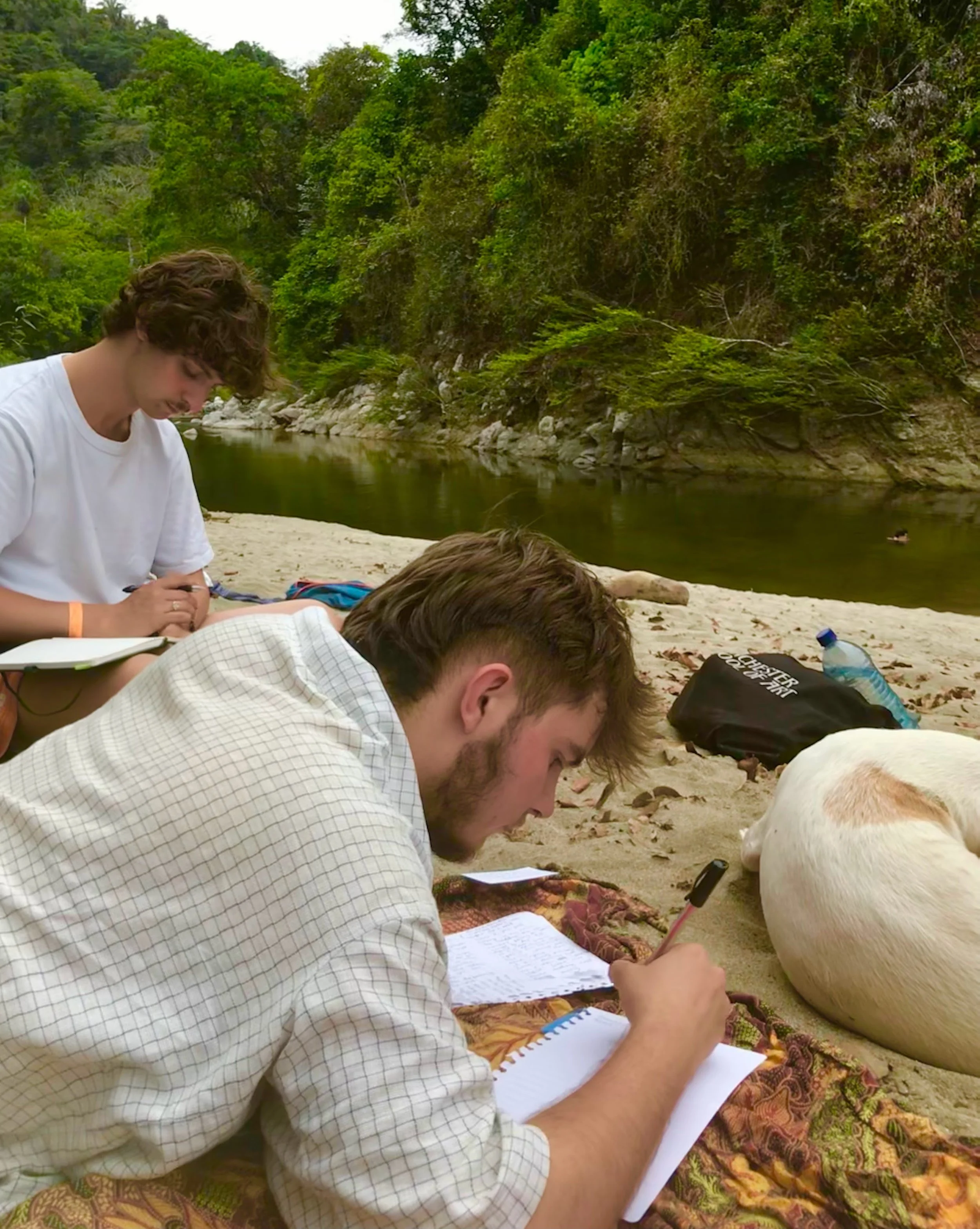 People sitting on a sandy bank of a river, writing in notebooks, with a lush green forest in the background and a dog lying nearby.