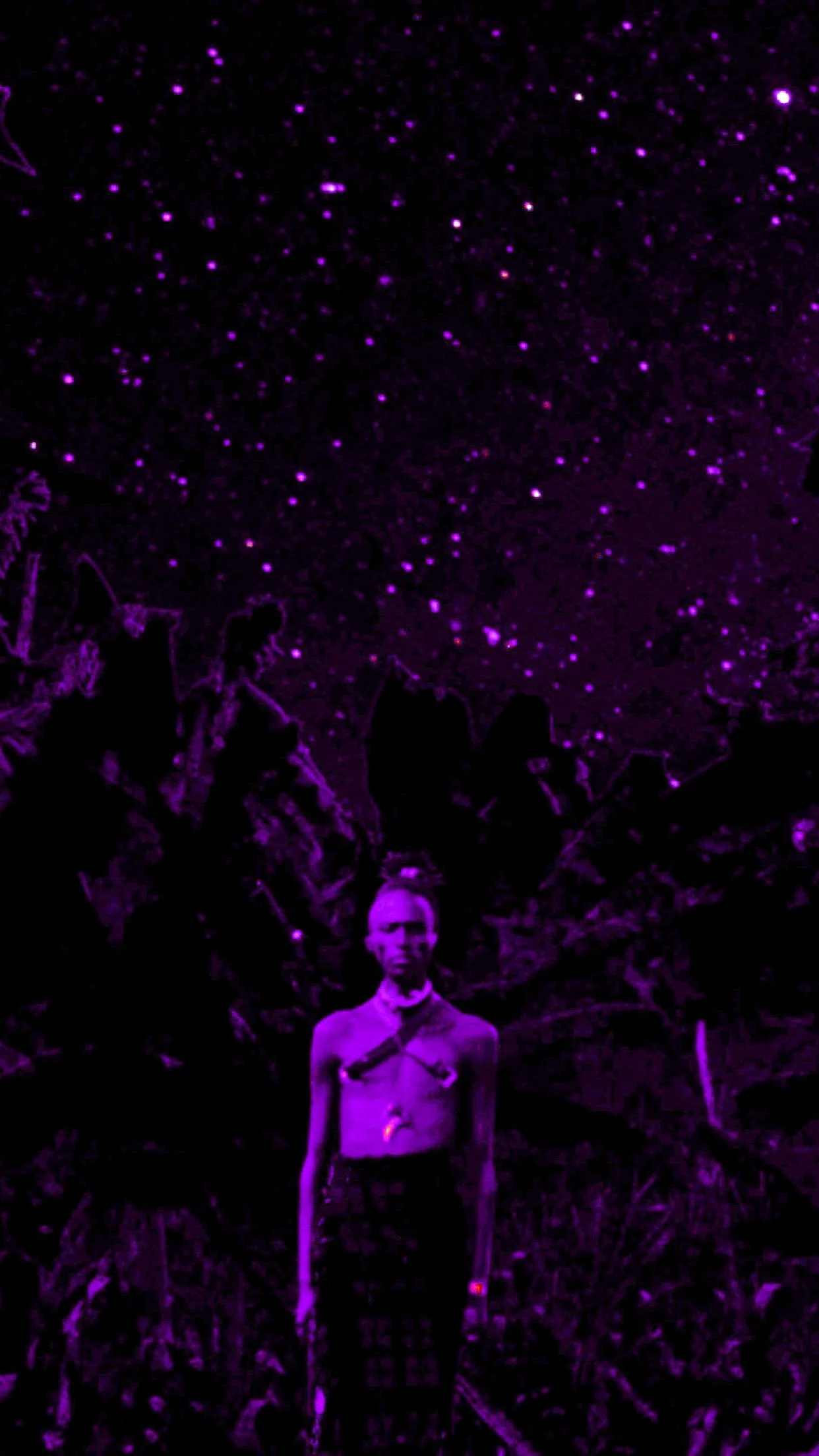 86BBFAF4-1373-455B-A25A-7C346674C4C5 2.JPEG