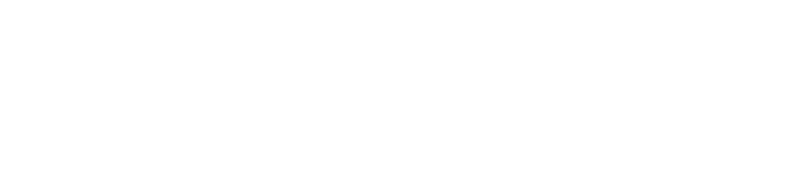 Magnitvde