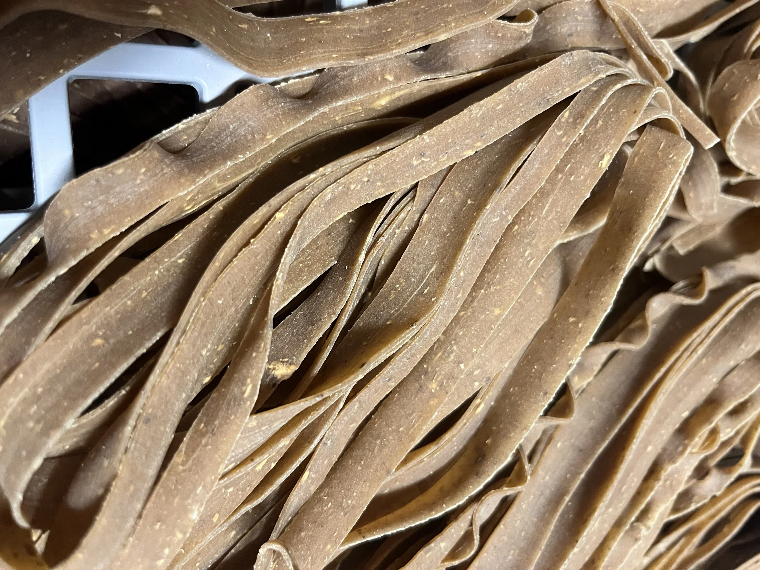 THE COGNITIVE REBELLION. 1kg of our heritage Fettuccini infused with organic Reishi and Lions Mane mushrooms. Industrial food makes you sluggish. This pasta wakes you up