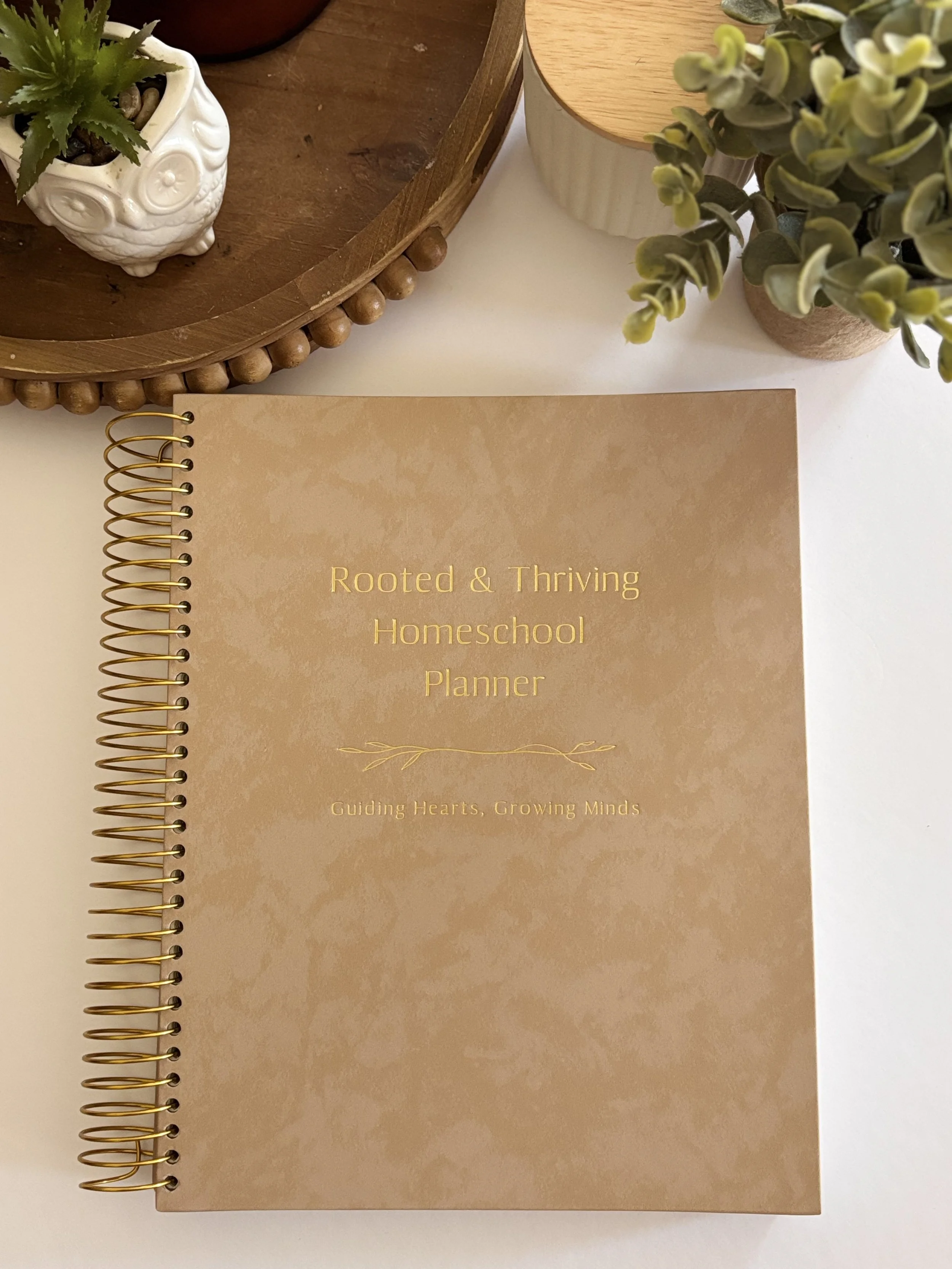 A brown book titled "Rooted & Thriving Homeschool Planner" with gold spiral binding, placed on a white surface. To the left and above are small potted plants, and to the right is a partially visible wooden container and a ceramic planter.