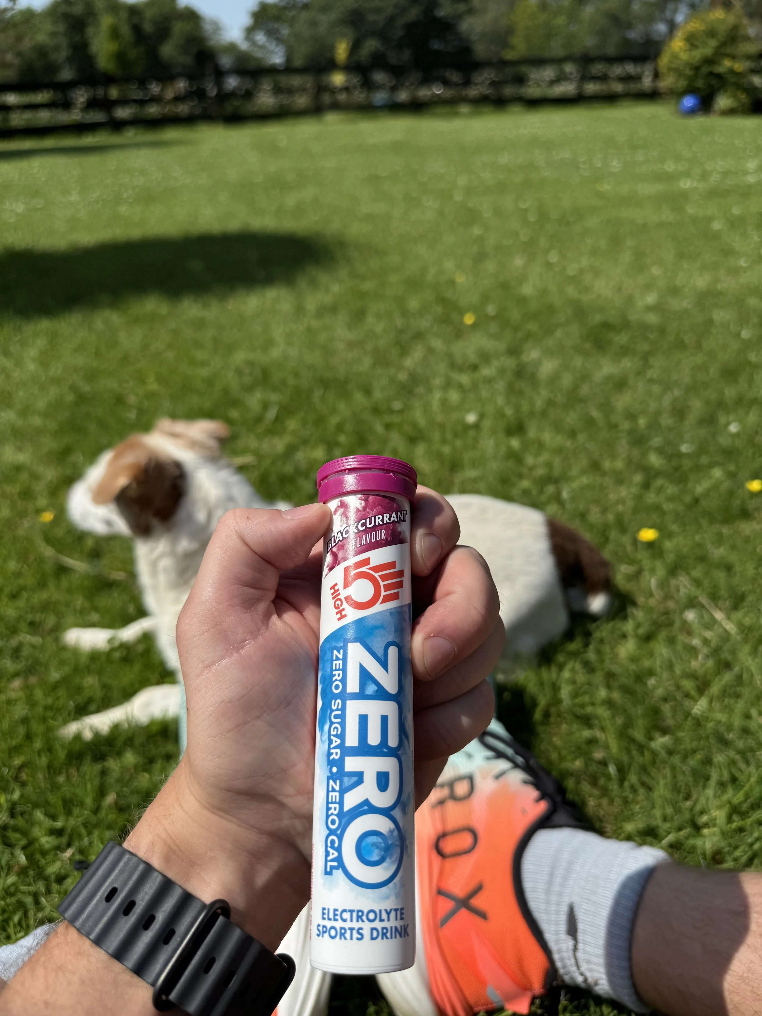 A person holding a tube of high energy electrolyte sports drink labeled 'ZERO' with a dog lying on the grass in the background. The scene is outdoors on a sunny day with green grass and trees, and a person wearing orange shoes and black socks is sitting on the ground.
