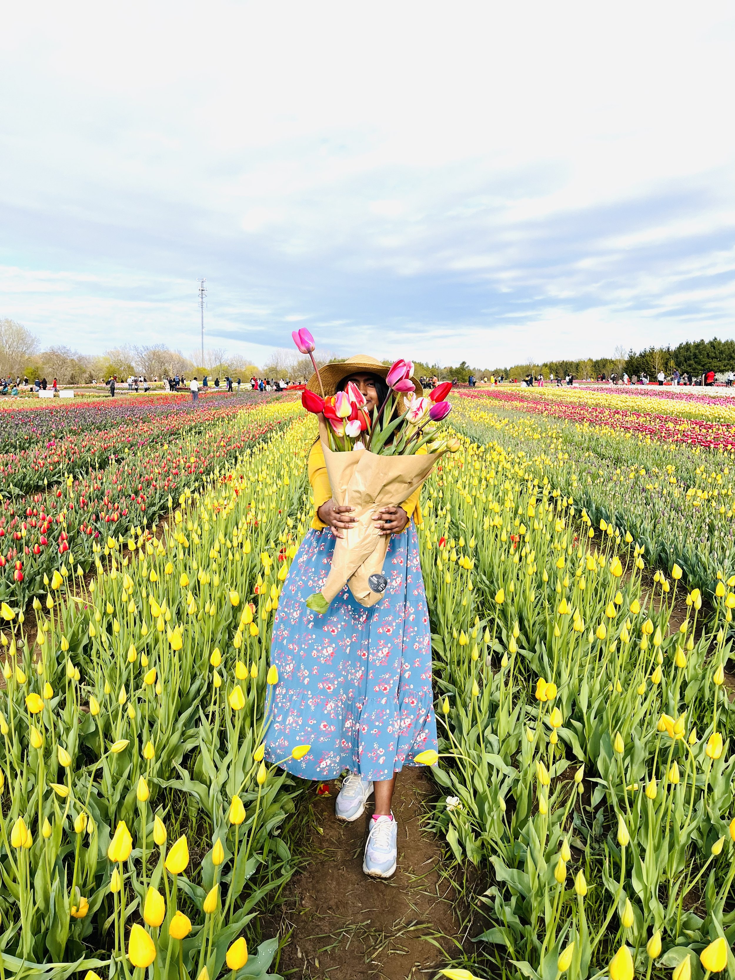 Person holding a bouquet of tulips in a tulip field, wearing a blue floral dress and a hat, with colorful rows of tulips in the background under a cloudy sky.