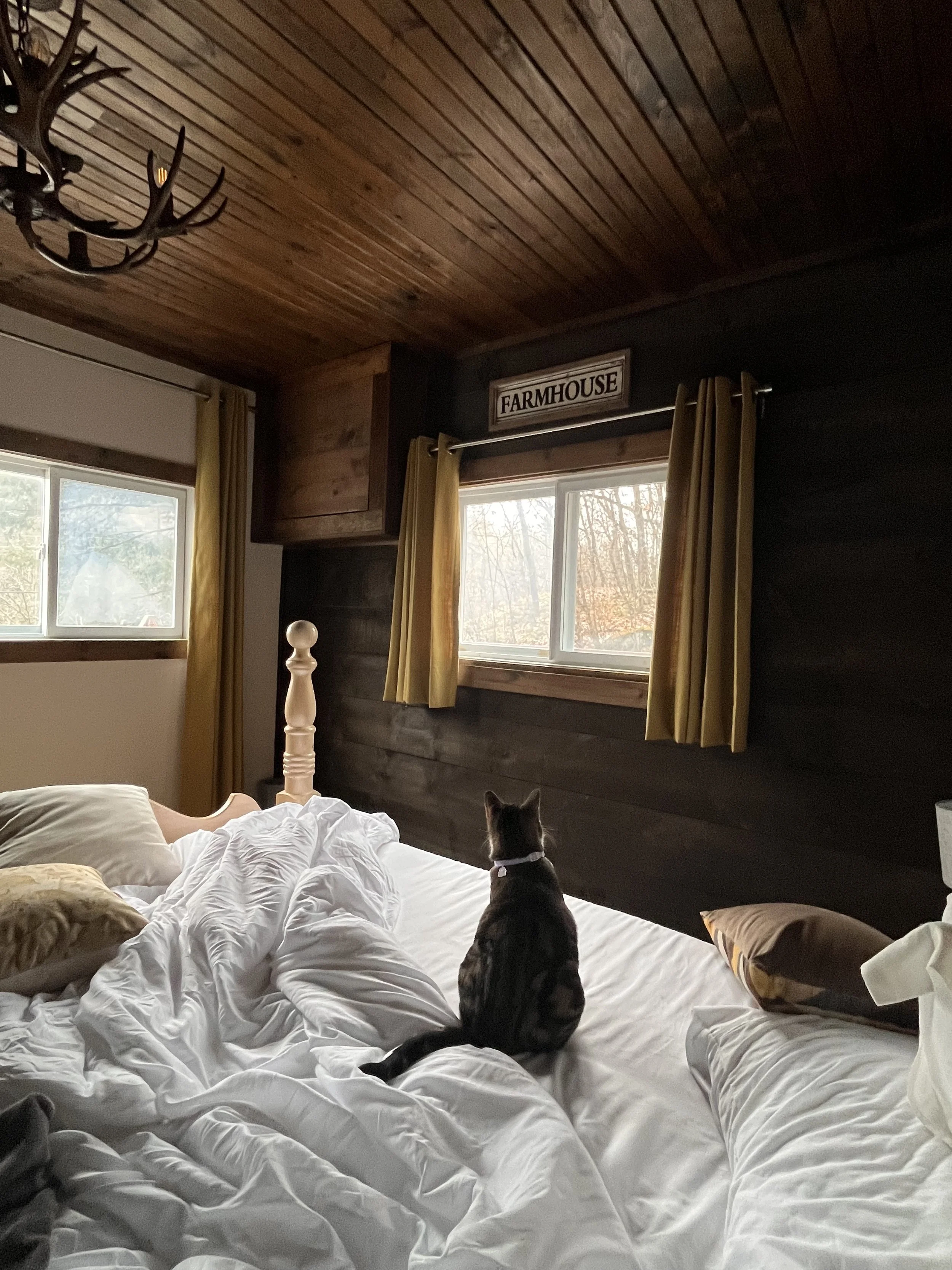 A cozy bedroom with a wooden ceiling and dark walls, featuring a bed with white sheets and pillows. A cat sits on the bed, looking out of a window with yellow curtains. A "FARMHOUSE" sign is above the window, and an antler chandelier hangs from the ceiling.