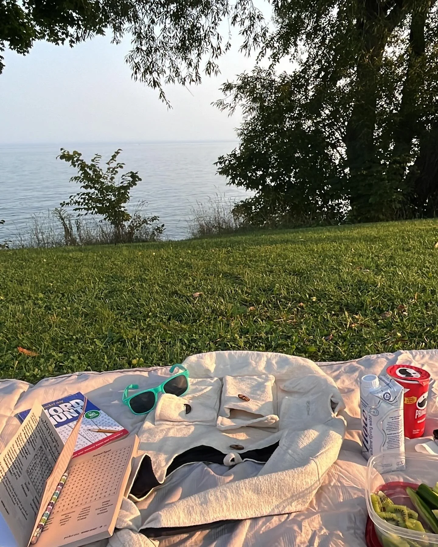 Picnic scene by a lake with grass, trees, a book, sunglasses, a jacket, drinks, and a container of sliced kiwi and vegetables.