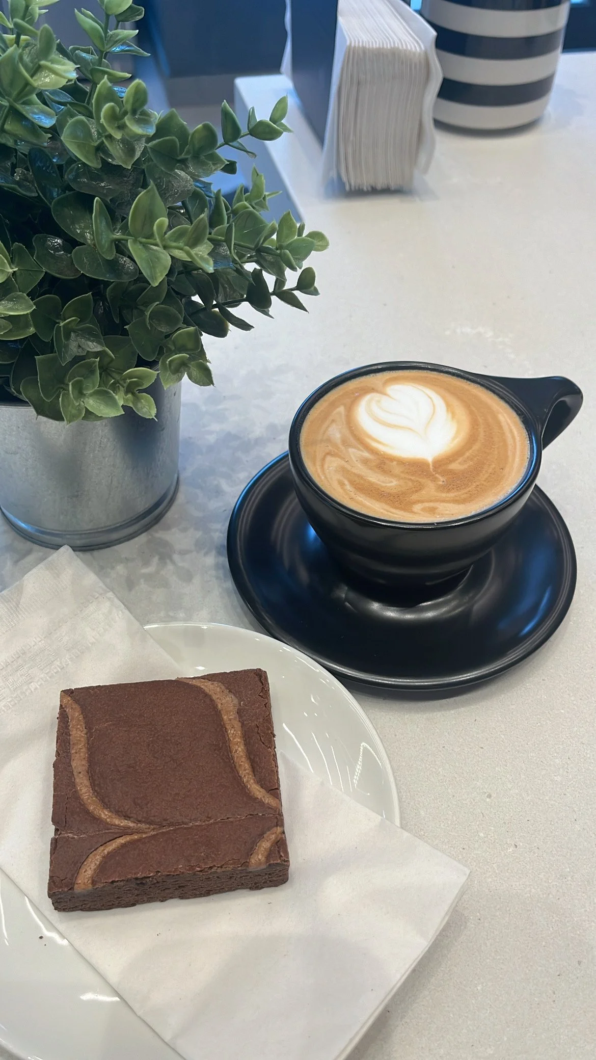 A cappuccino in a black cup with latte art, served on a black saucer, next to a square chocolate brownie on a white plate with a napkin, and a small potted green plant on a table.