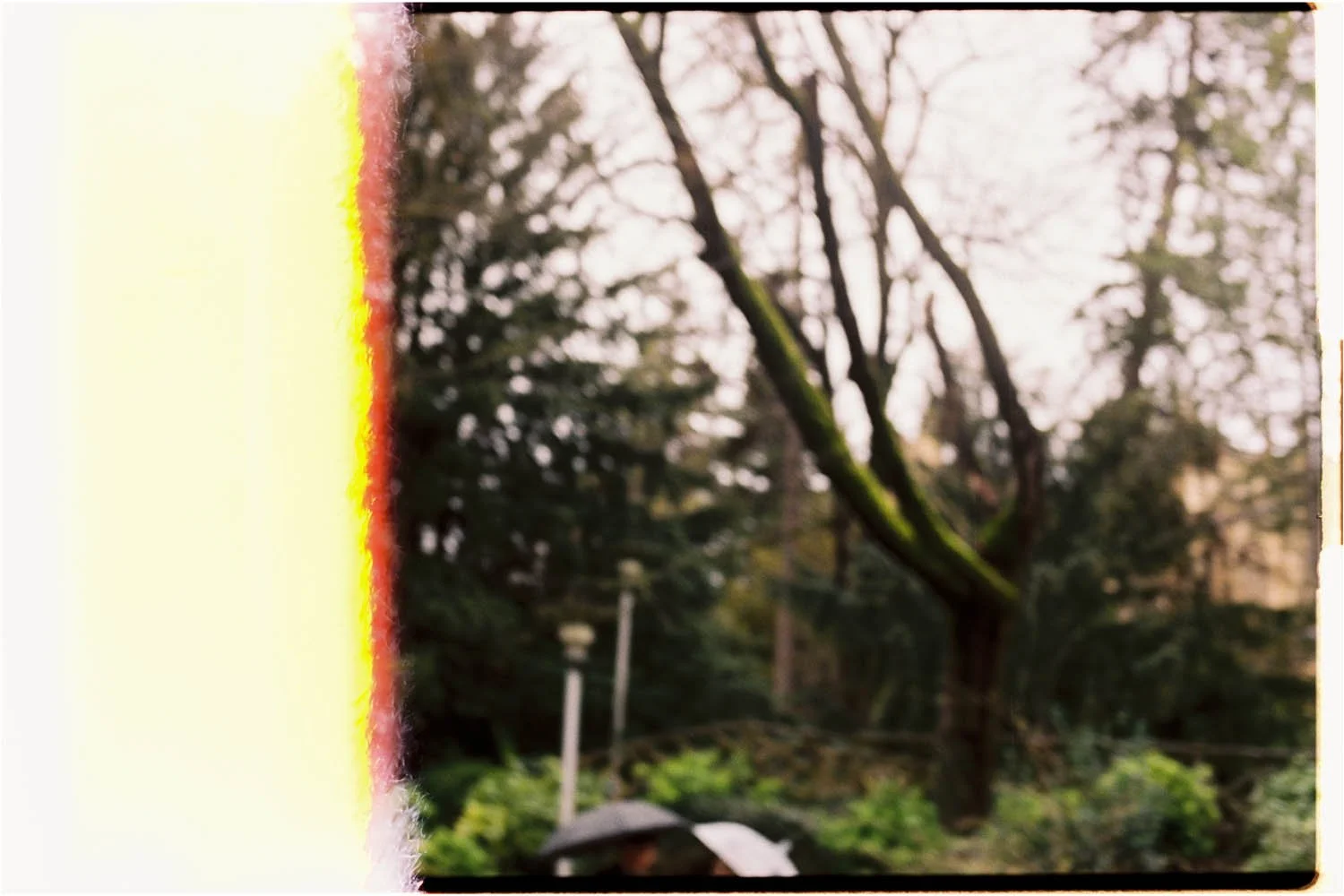 Part of the camera lens or sensor showing a blurred outdoor scene with trees and a person wearing a hat.