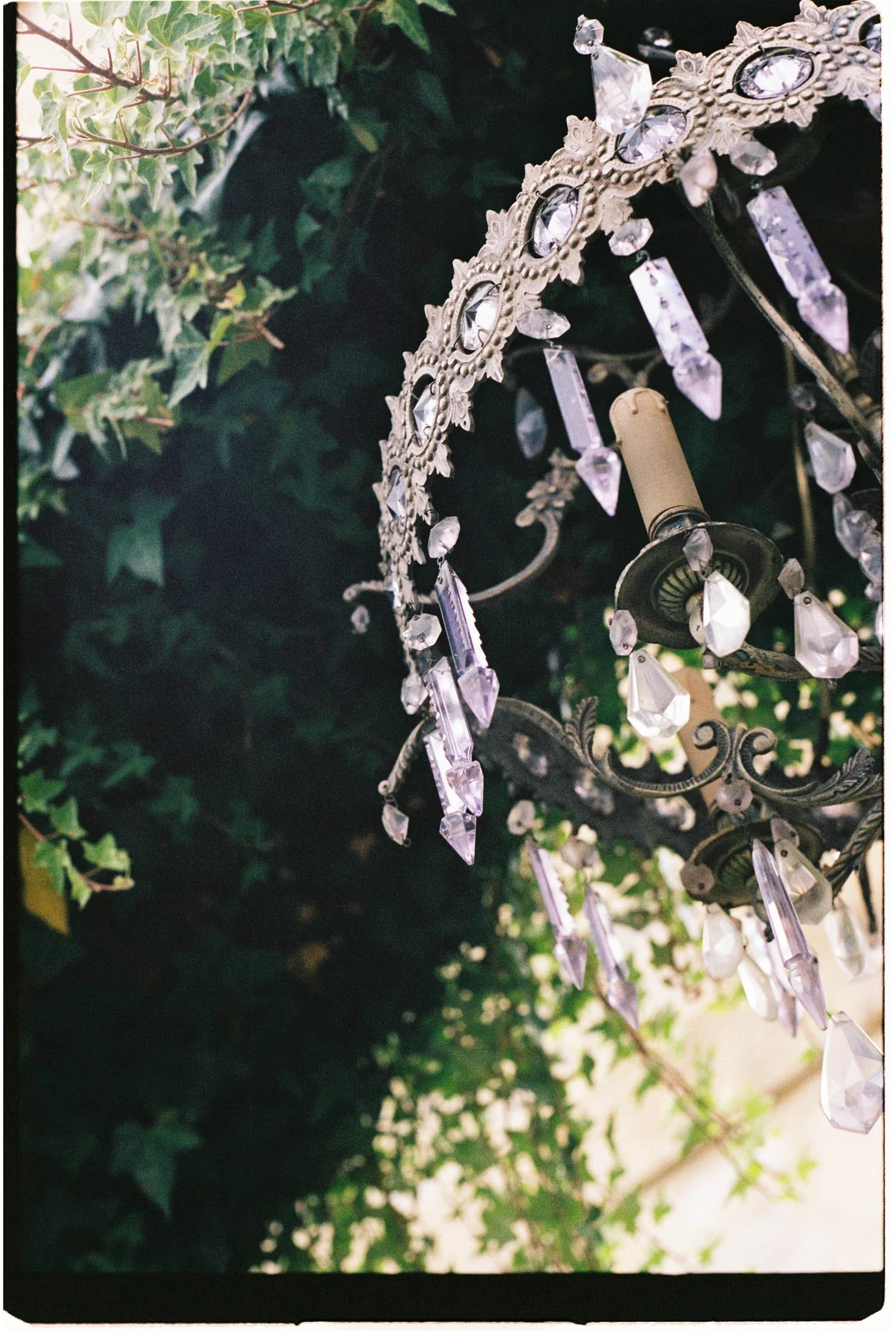 Close-up of a vintage-style crystal chandelier hanging outdoors among green leaves in a wedding ceremony.