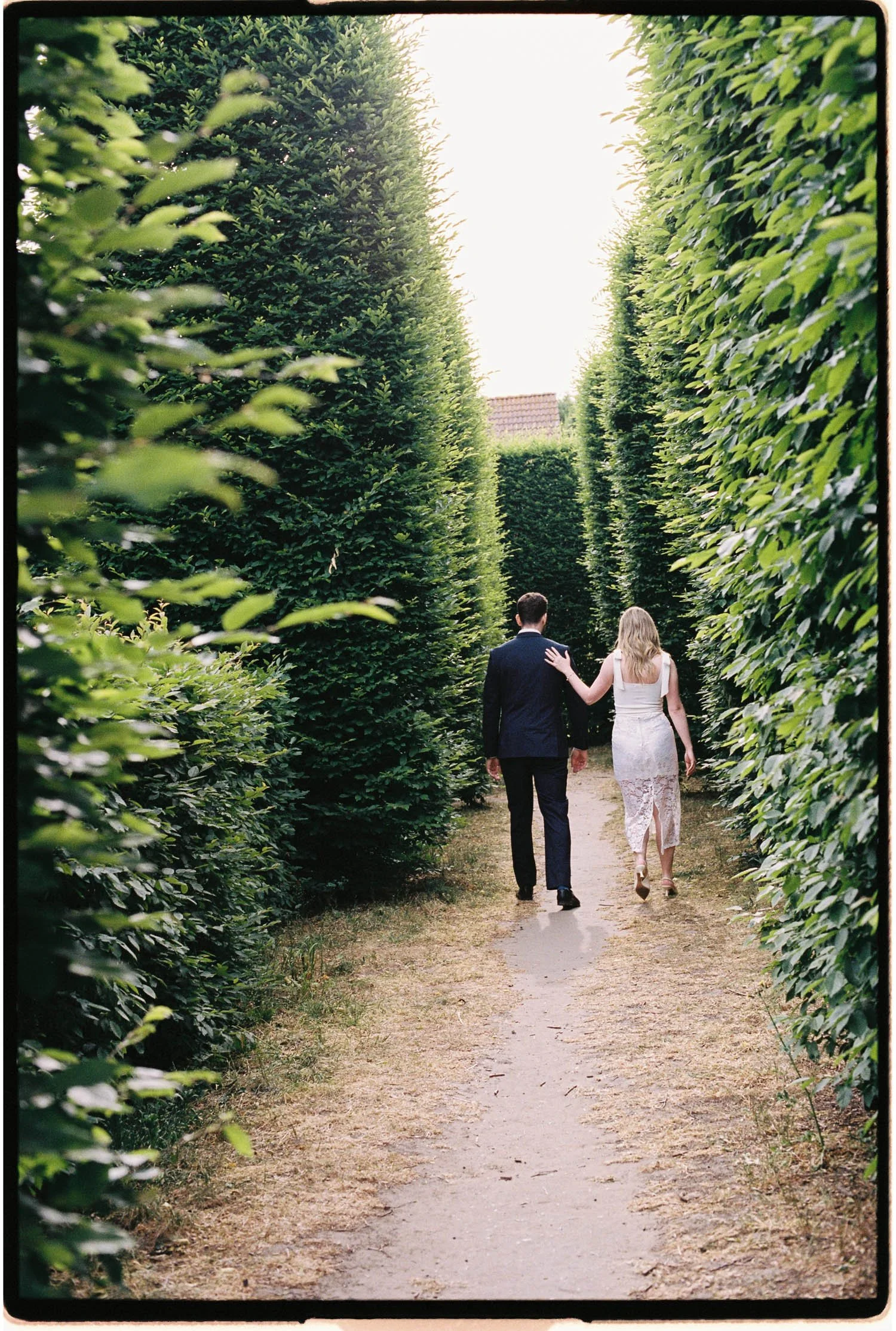A couple walking down a dirt path amidst tall, neatly trimmed hedge plants on either side.