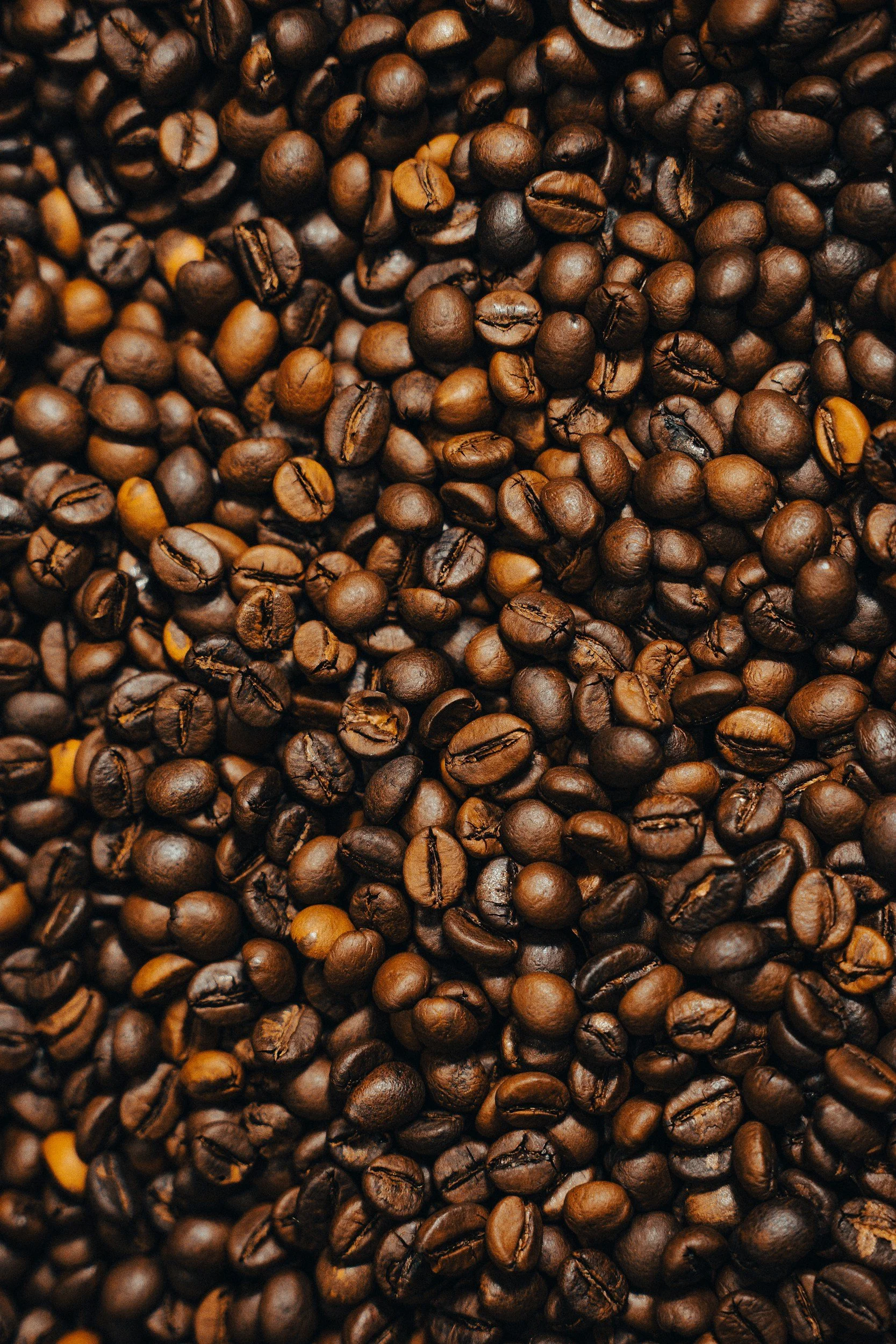 Close-up of roasted coffee beans.