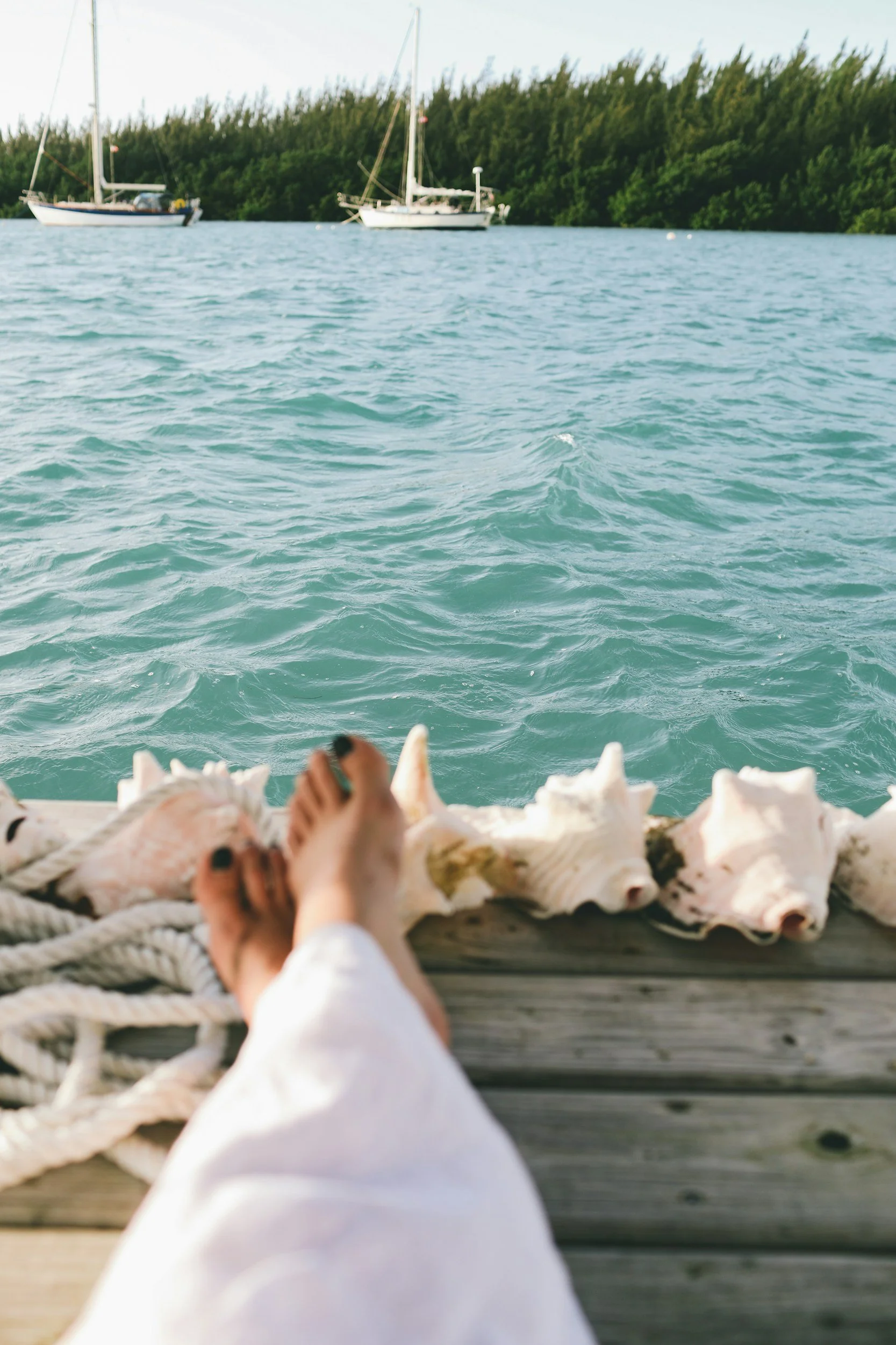 unsplash-image-sz-w1SLpVRA.jpg