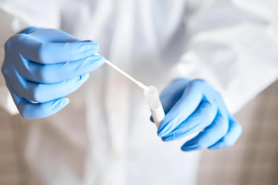 A person wearing blue gloves handling a test tube with a swab.