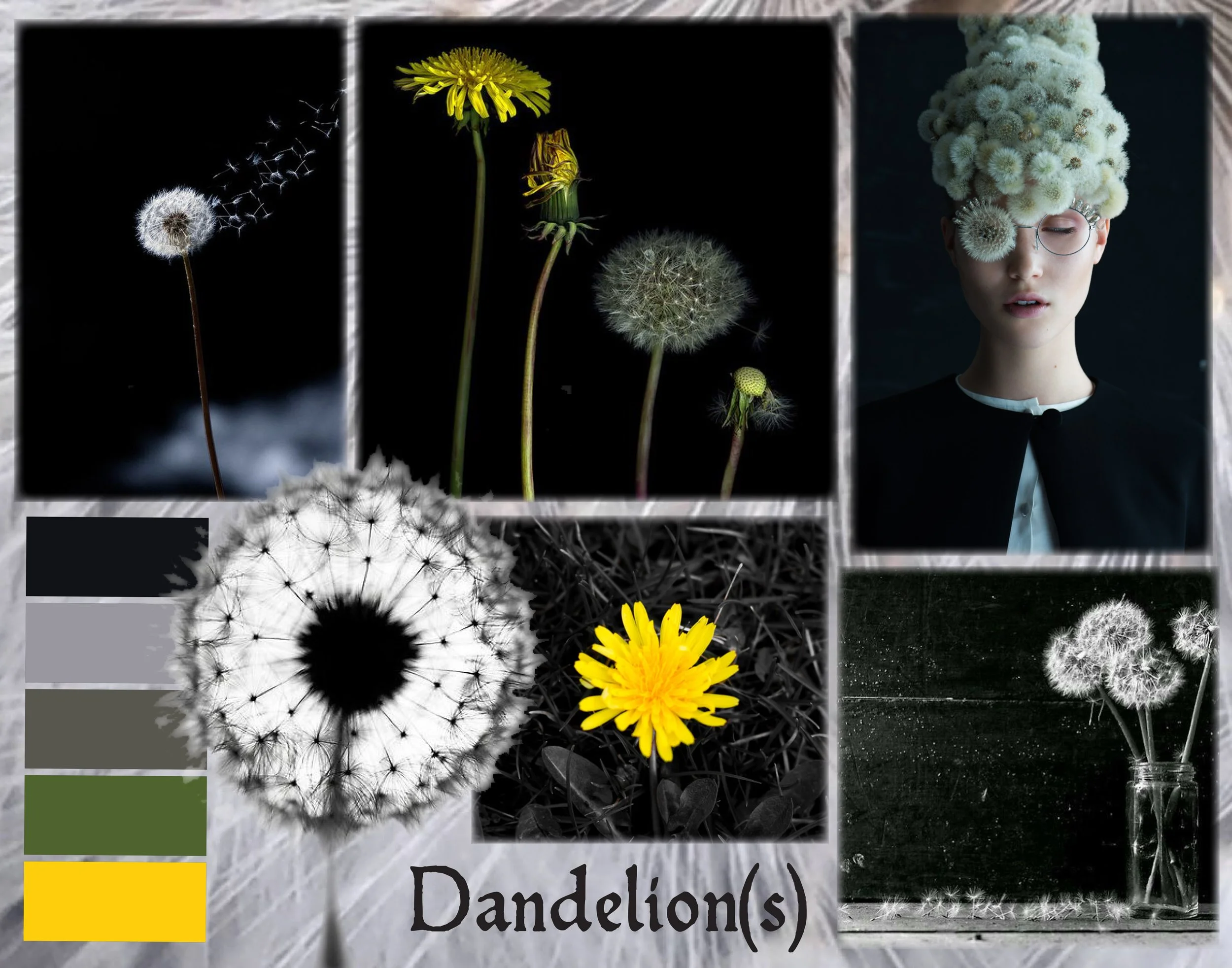 Textile collection inspiration