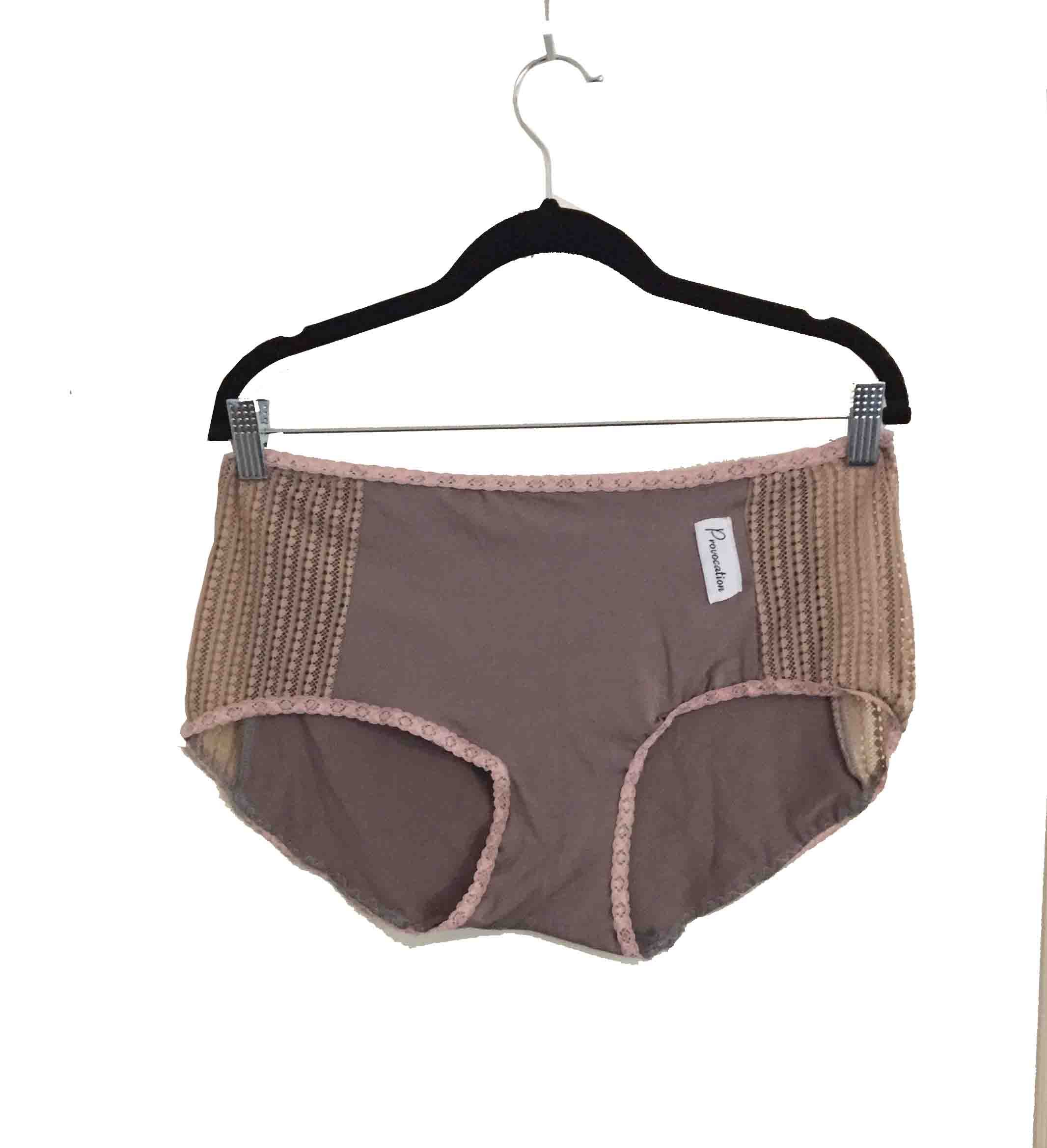 Extra Large Vintage Lace Panel Panty