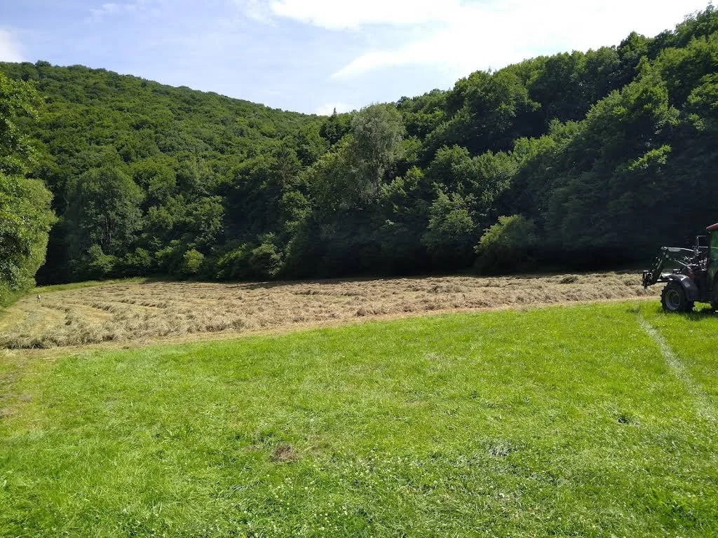 Sommerduft und Wintervorrat: Heuernte rund um St. Jost und Langenfeld