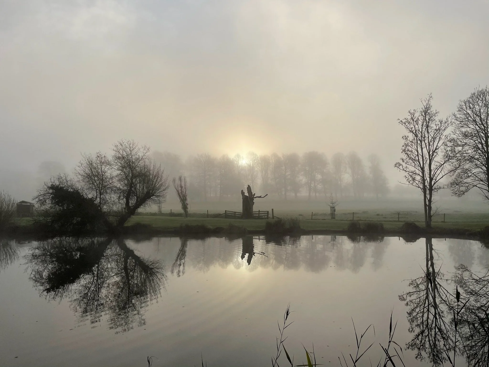 IMG_2376.jpeg