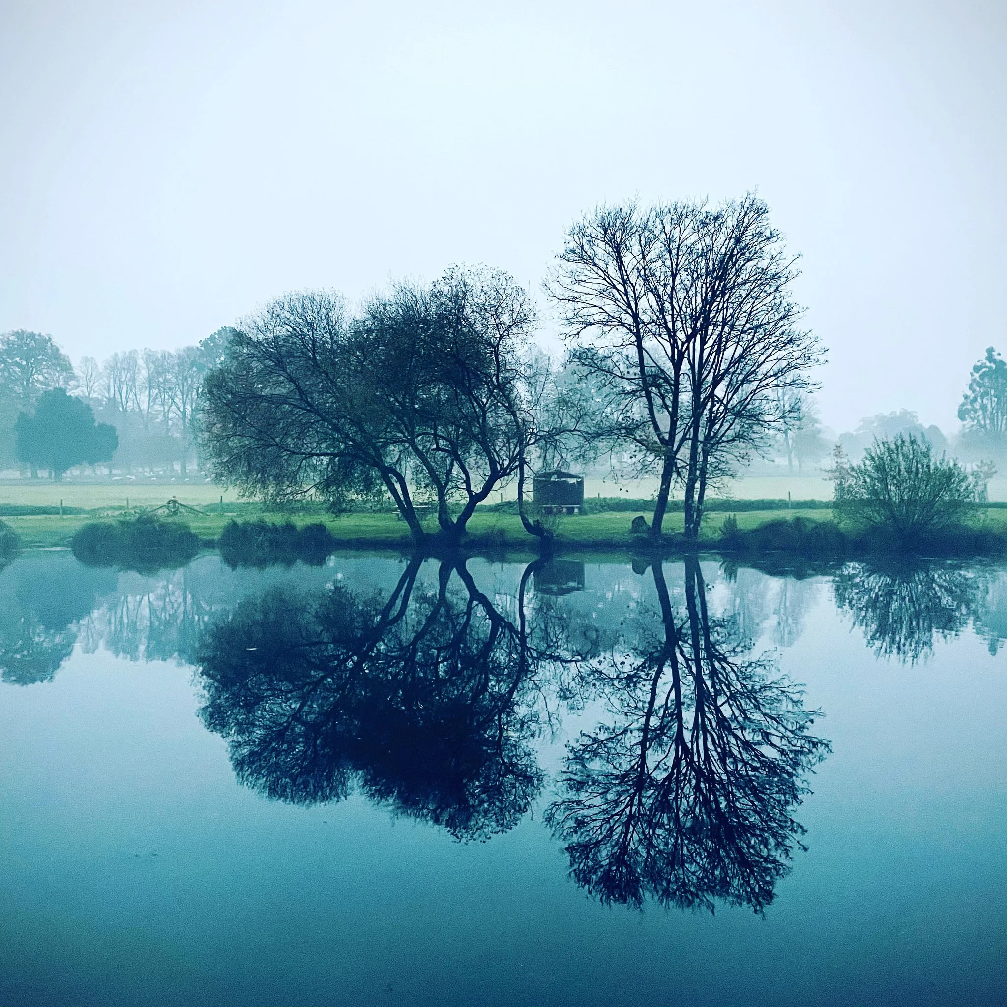 588F5EF3-4BC3-43EF-A6AA-73F4D19085D4.jpeg