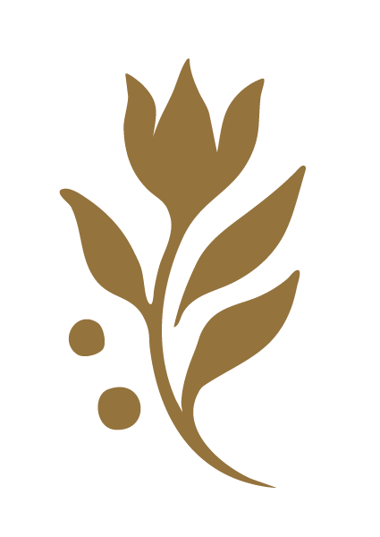 Illustration d'une branche avec une fleur stylisée et deux petites baies, en couleur or sur fond noir.
