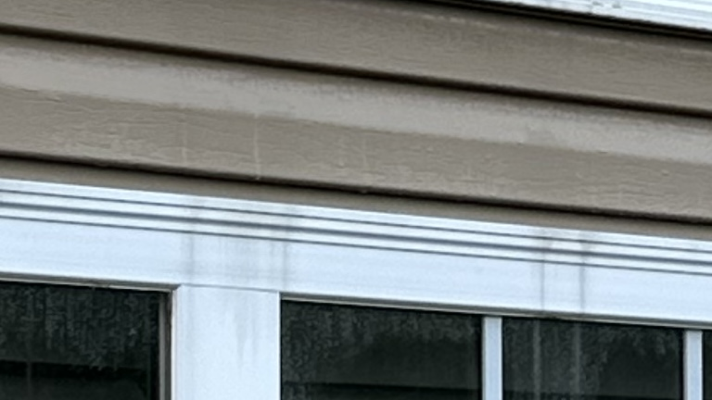 Black and green streaks on window and siding