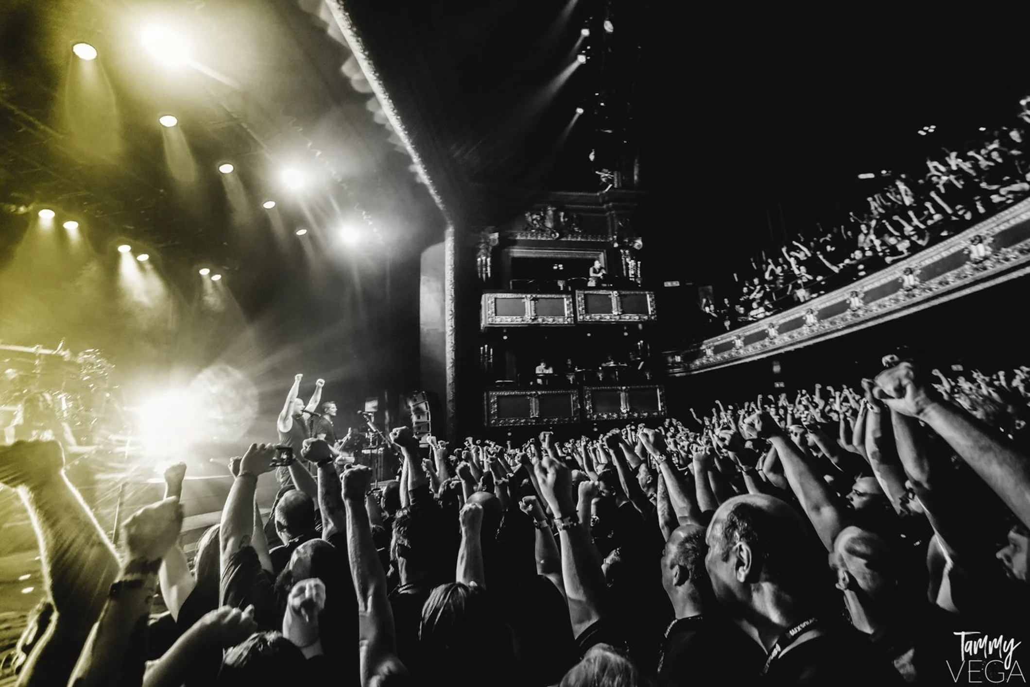 chicago_music_photographer_-140.jpg