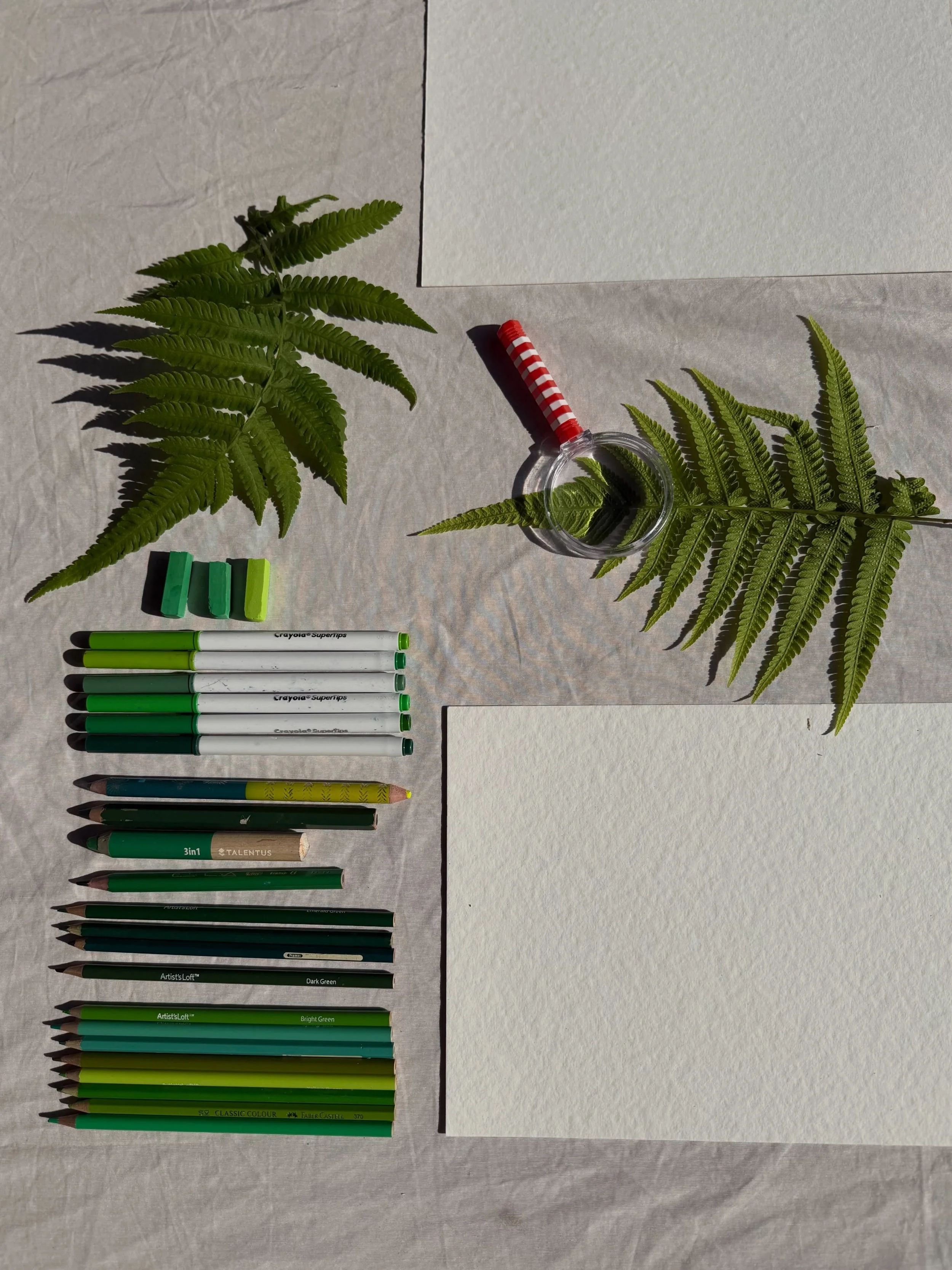 Aprendiendo a observar con detalle y a pensar de manera diferente:

&iquest;Cu&aacute;ntos tonos de verde podemos encontrar en la naturaleza? 🔎

&iquest;C&oacute;mo son las plantas? &iquest;Qu&eacute; sombra proyectan?🌱

#reggioemilia #luzysombra #