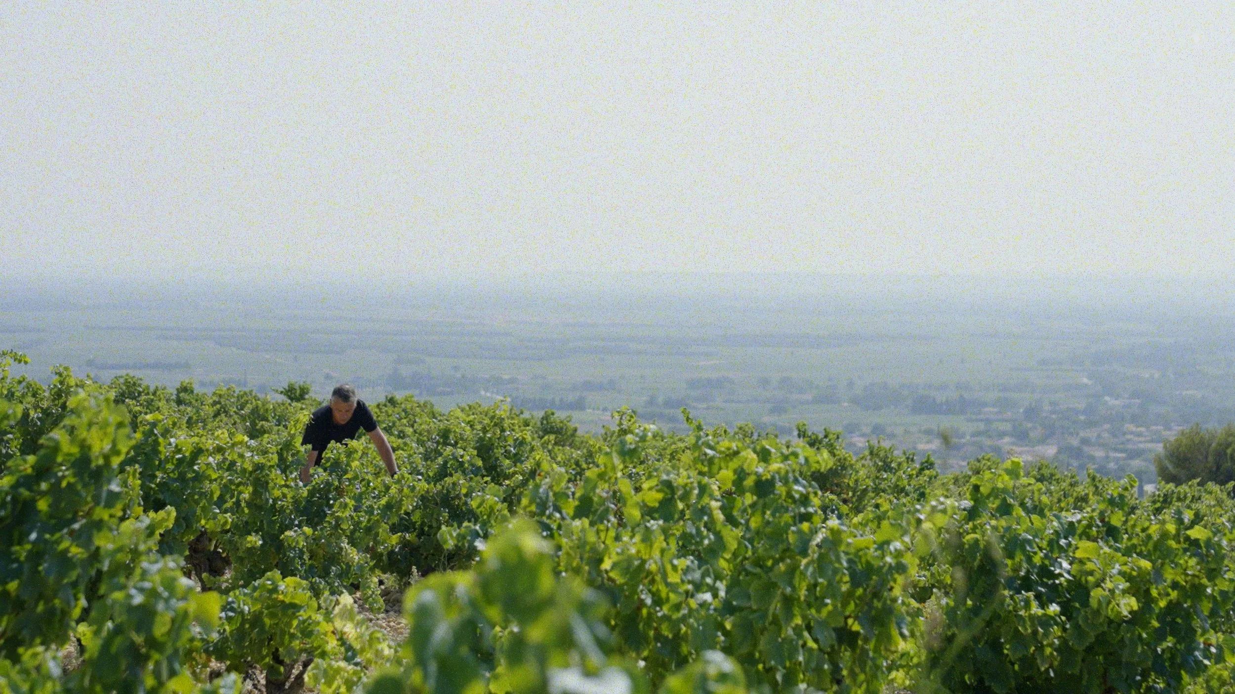 Boutinot Rhône