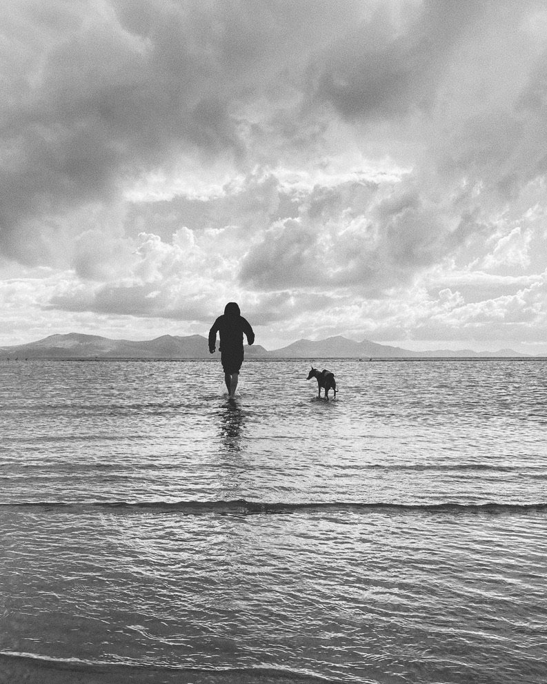 A person walking with a dog in shallow water at the beach during cloudy weather, with mountains in the distance.