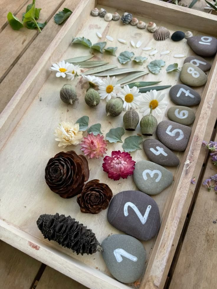 Nature Counting Tray.jpg