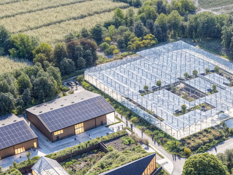 Aerial view of Kovva, Kegin and the Cathedral Glasshouse