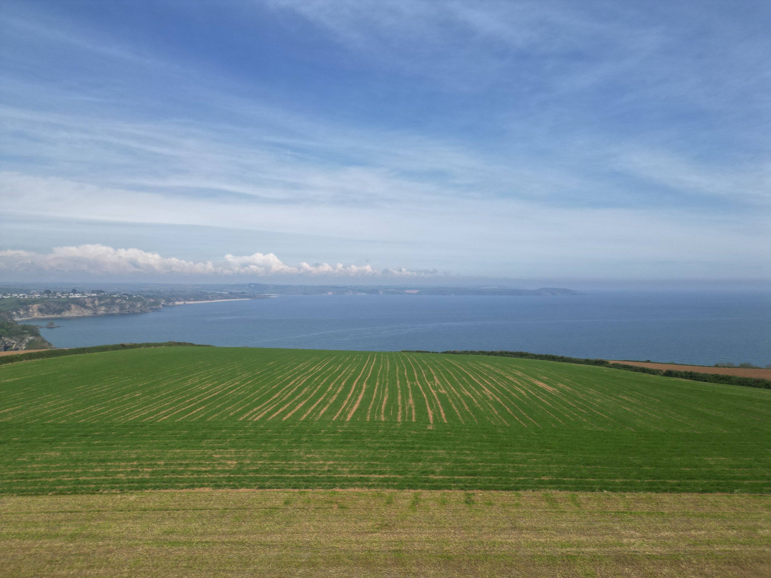 A vast agricultural field with neatly planted green rows extends toward a large body of water in the distance, under a partly cloudy sky.