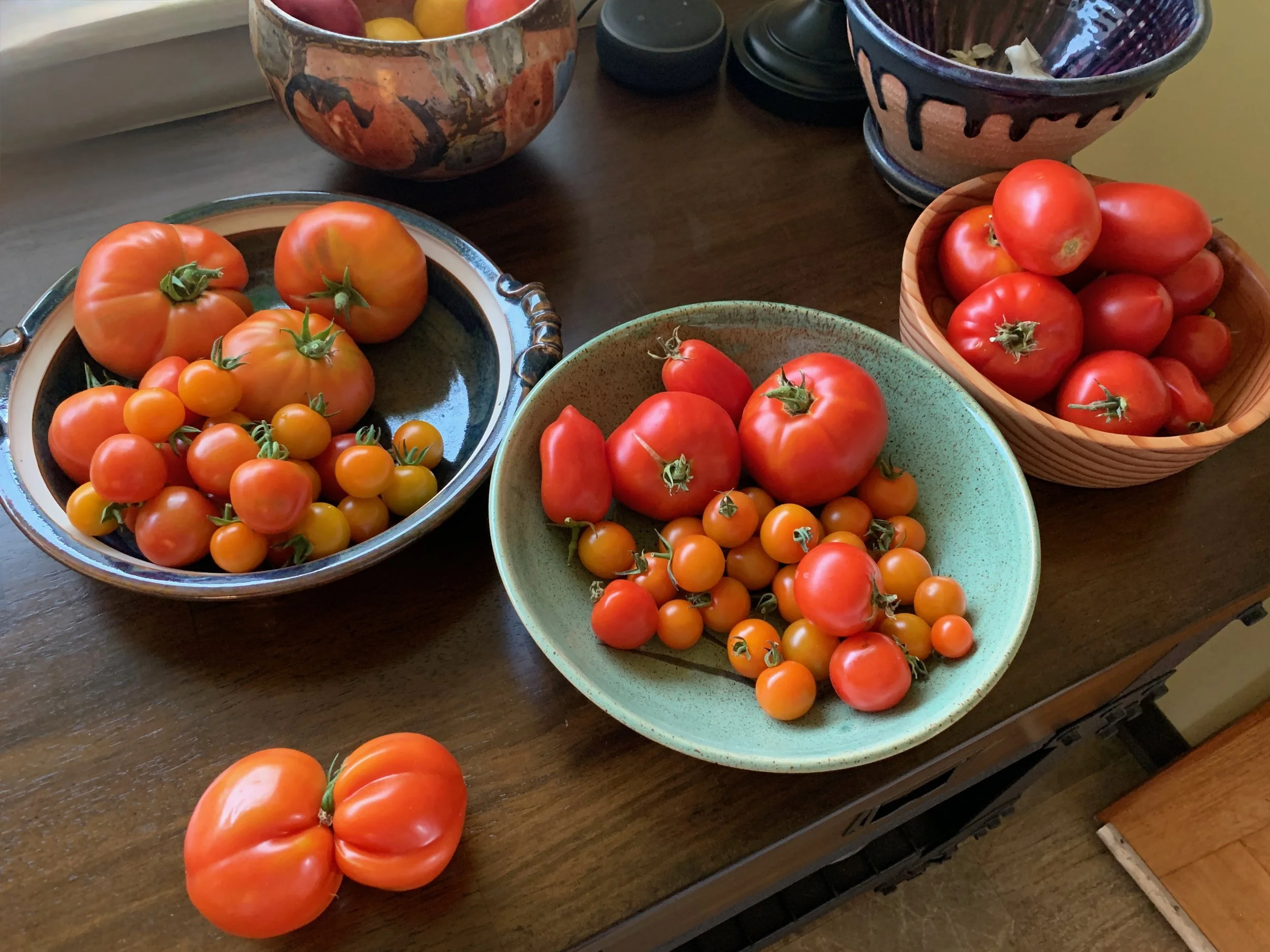  Garden raised beds, gardening, vegeable garden ,tomatoes 