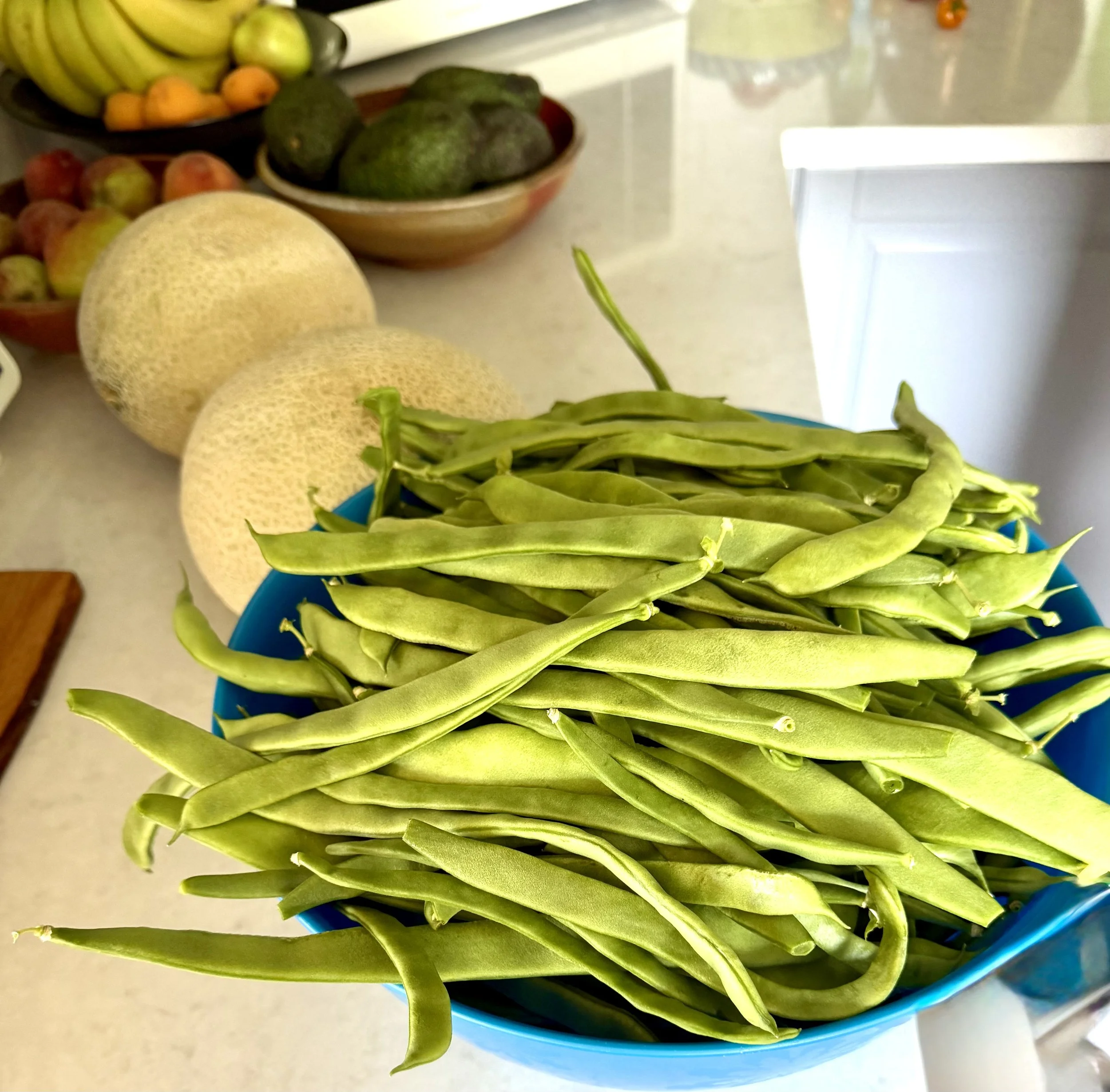 A fresh harvest from the garden.