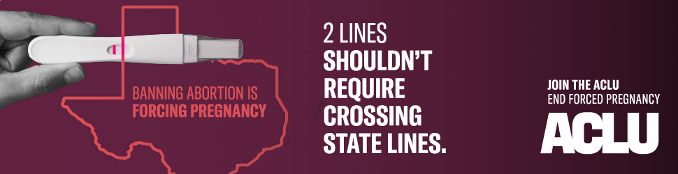 67d0903253a3ebdceab8f3ff_62461b709a64c207aac1e6e8_ACLU_banner_7_970x250_1.1.png