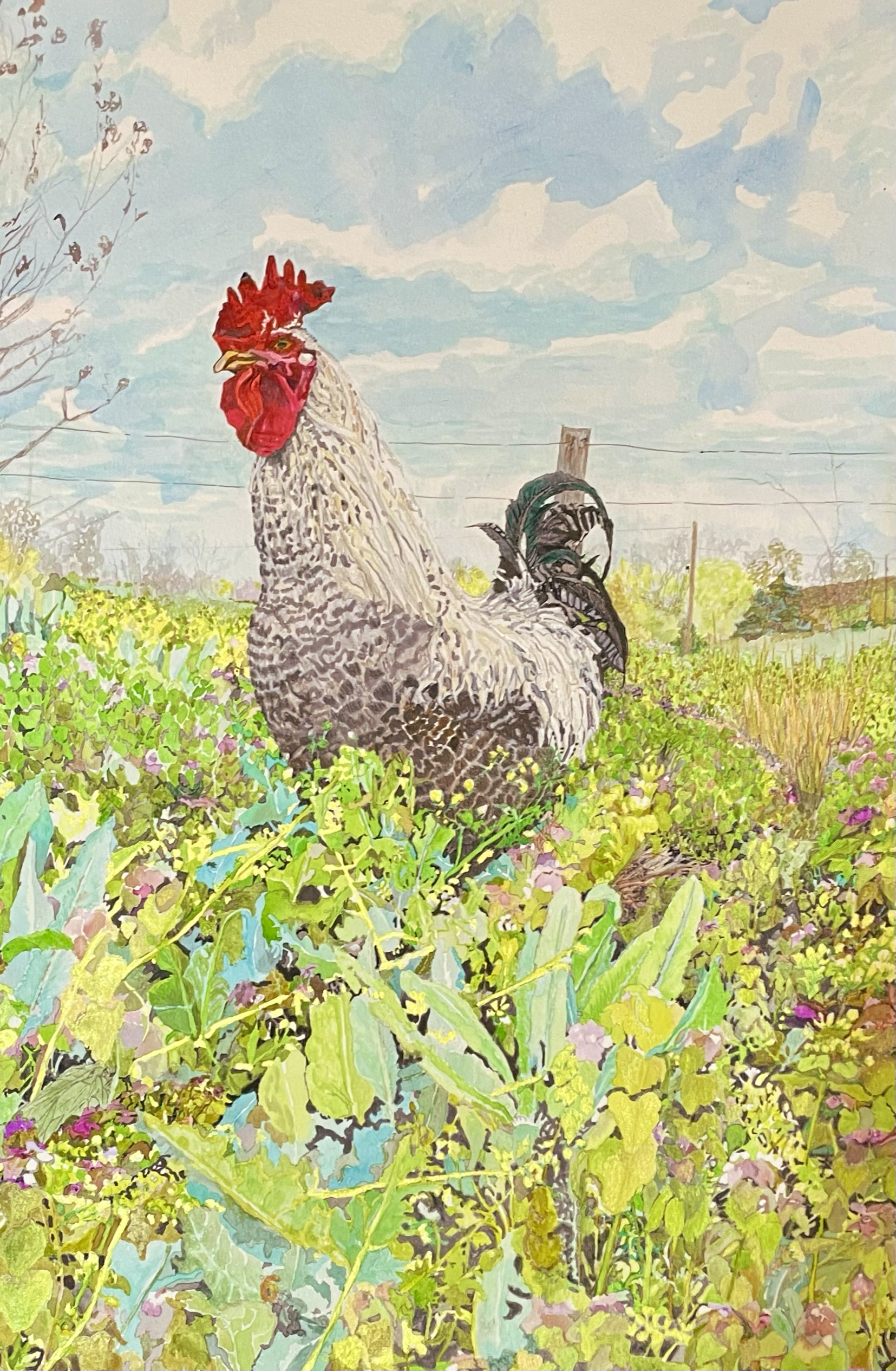 Cluck Norris.png