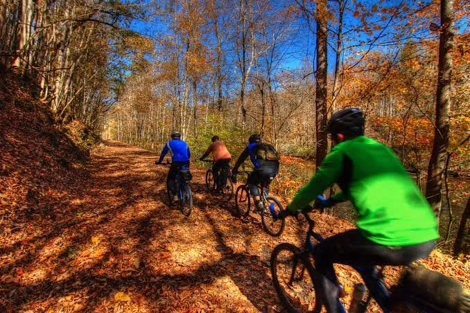How to Rent a Bike and Book a Shuttle Near Abingdon