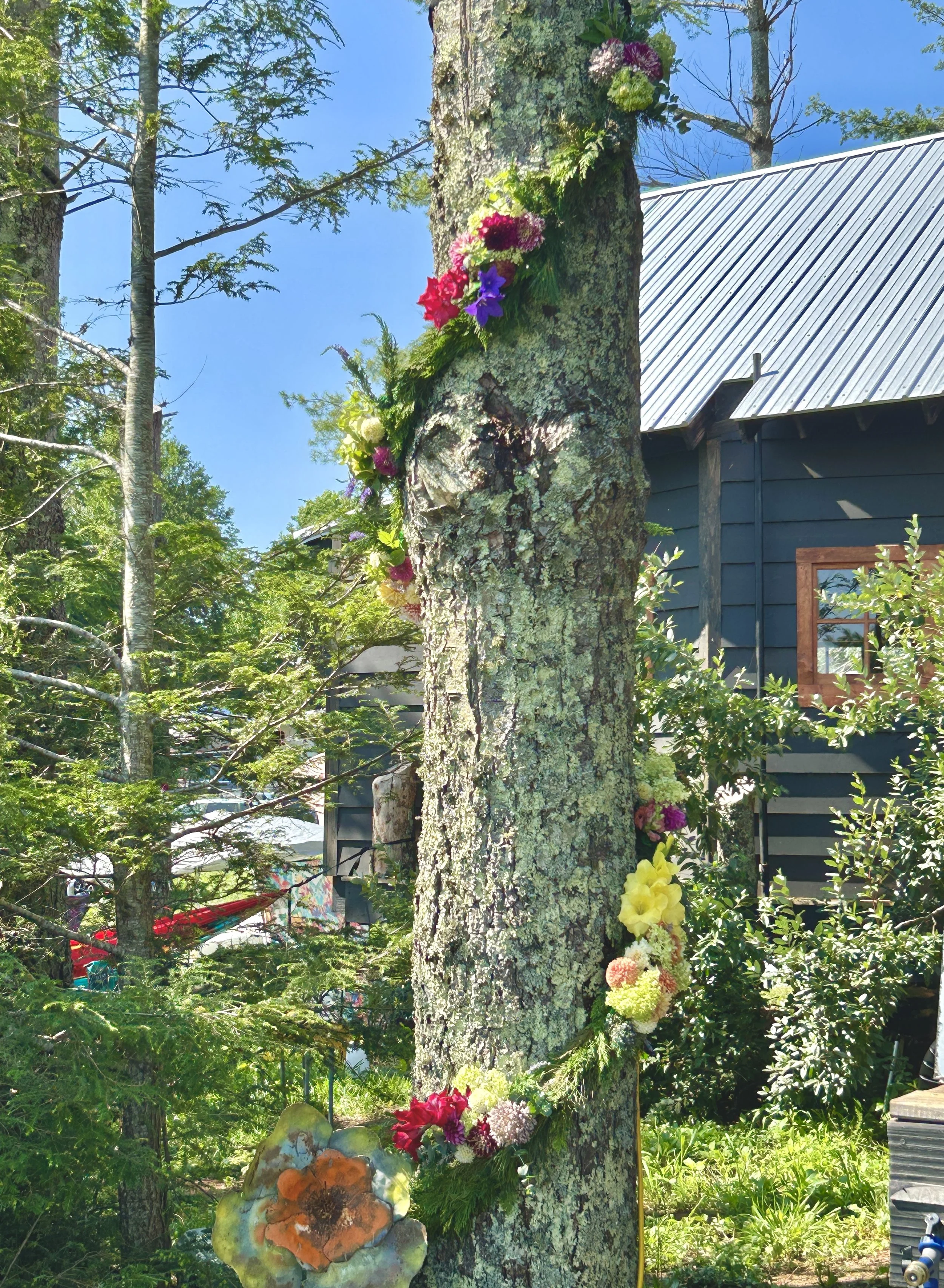 A tree with various colorful flowers and moss growing on its trunk in a garden, with a house with a metal roof in the background, surrounded by greenery.