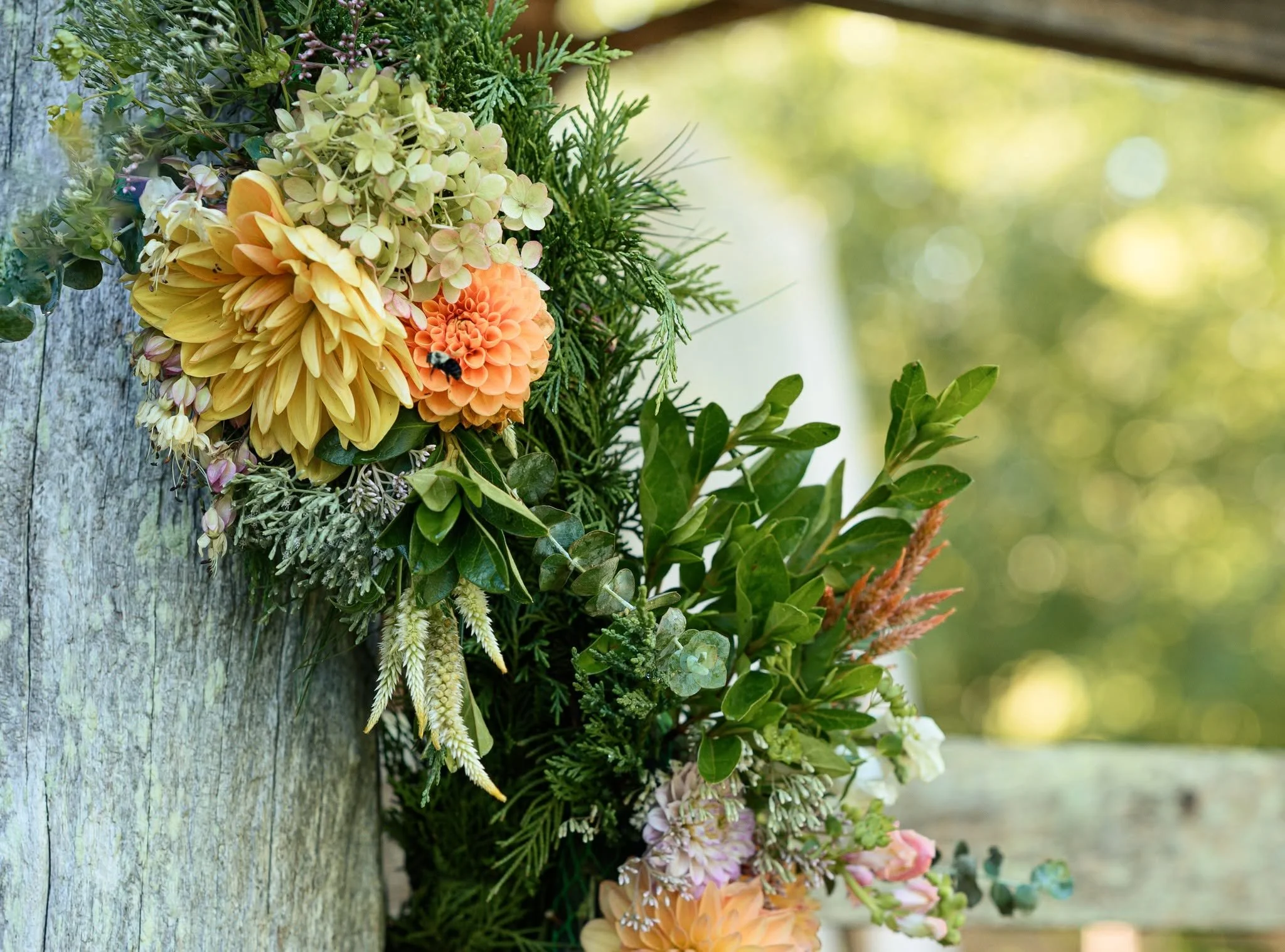 A floral arrangement hanging on a wooden surface with greenery and blooming flowers, including dahlias and hydrangeas, with a bee on an orange flower.