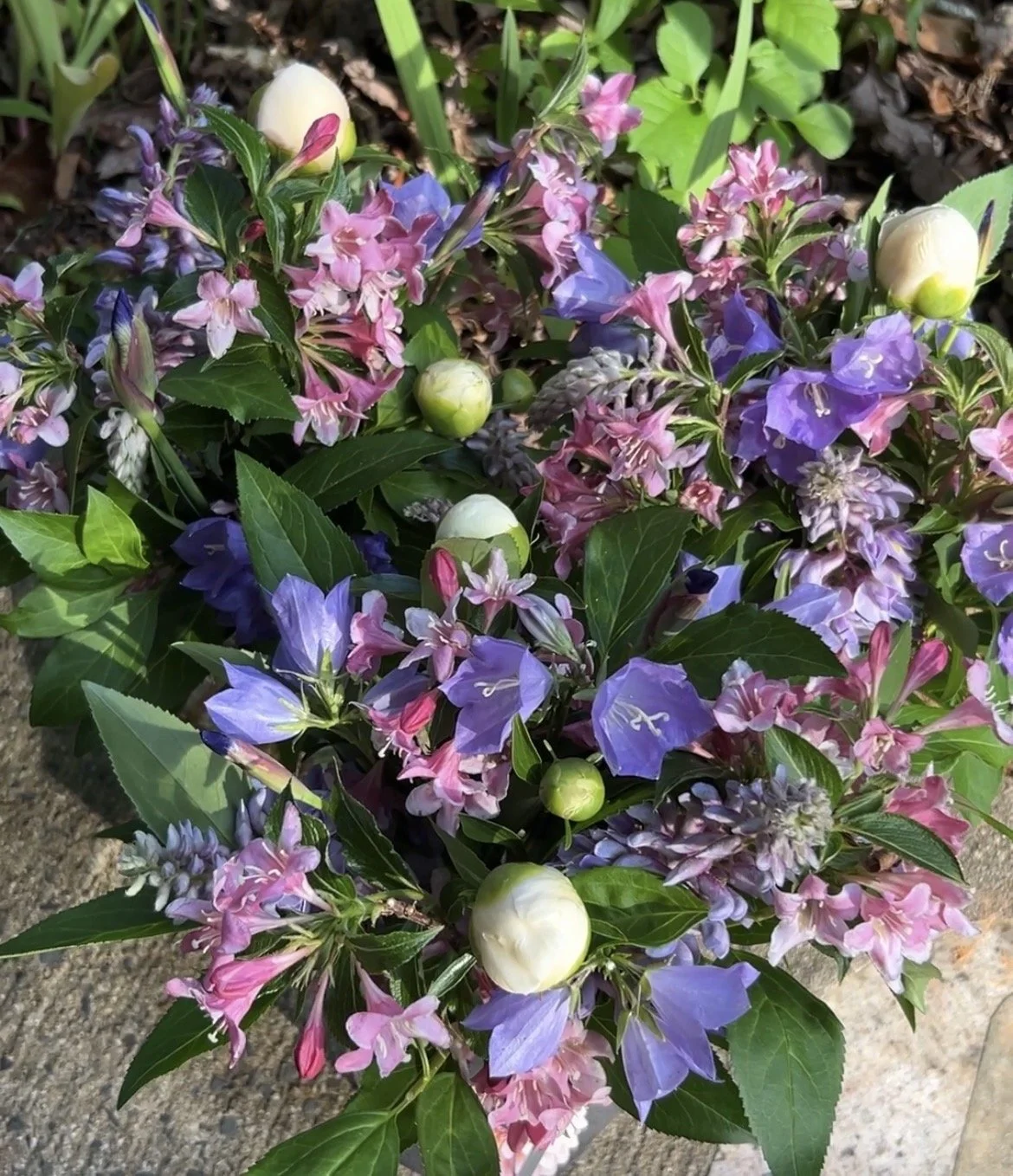 Half Season Flower Club