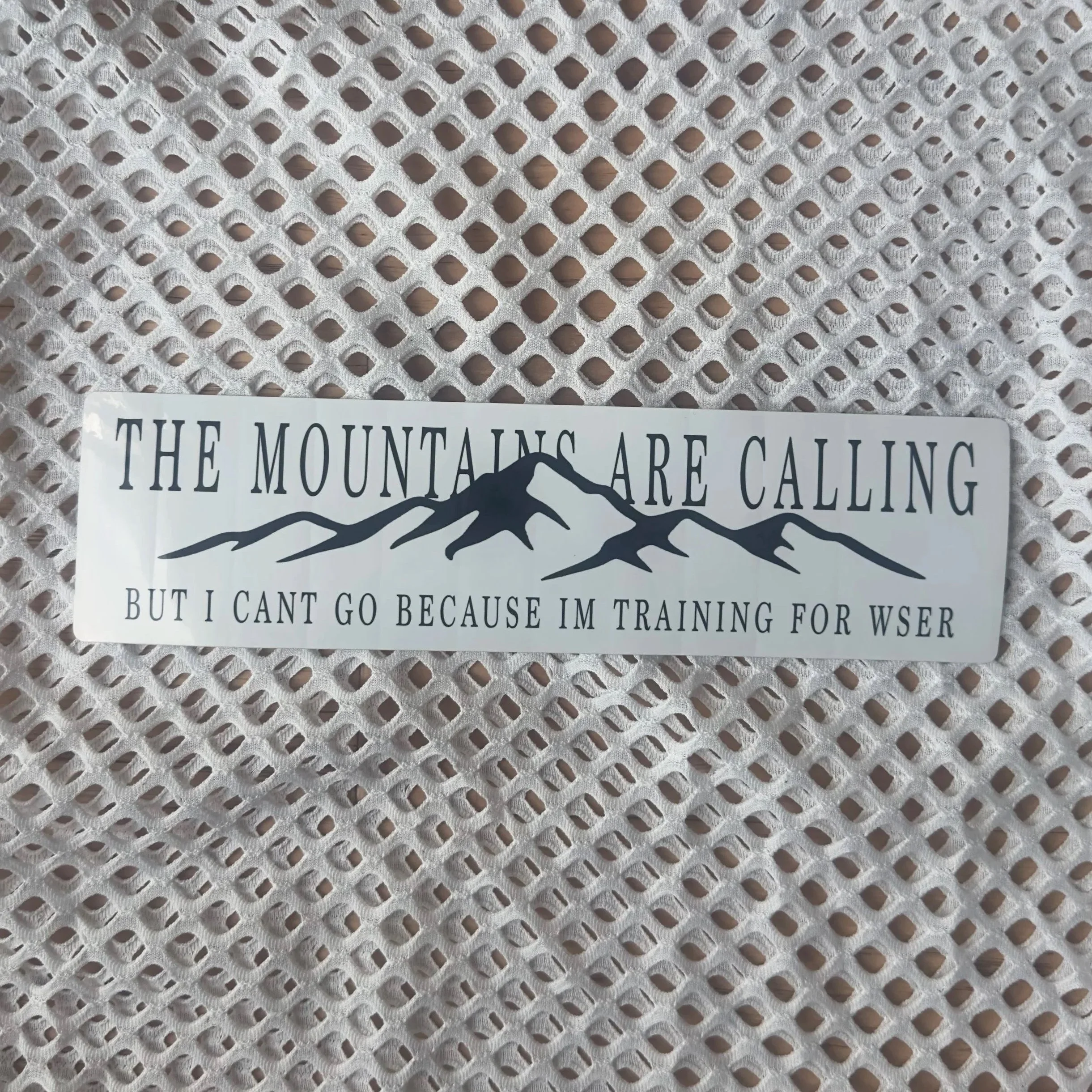 THE MOUNTAINS ARE CALLING