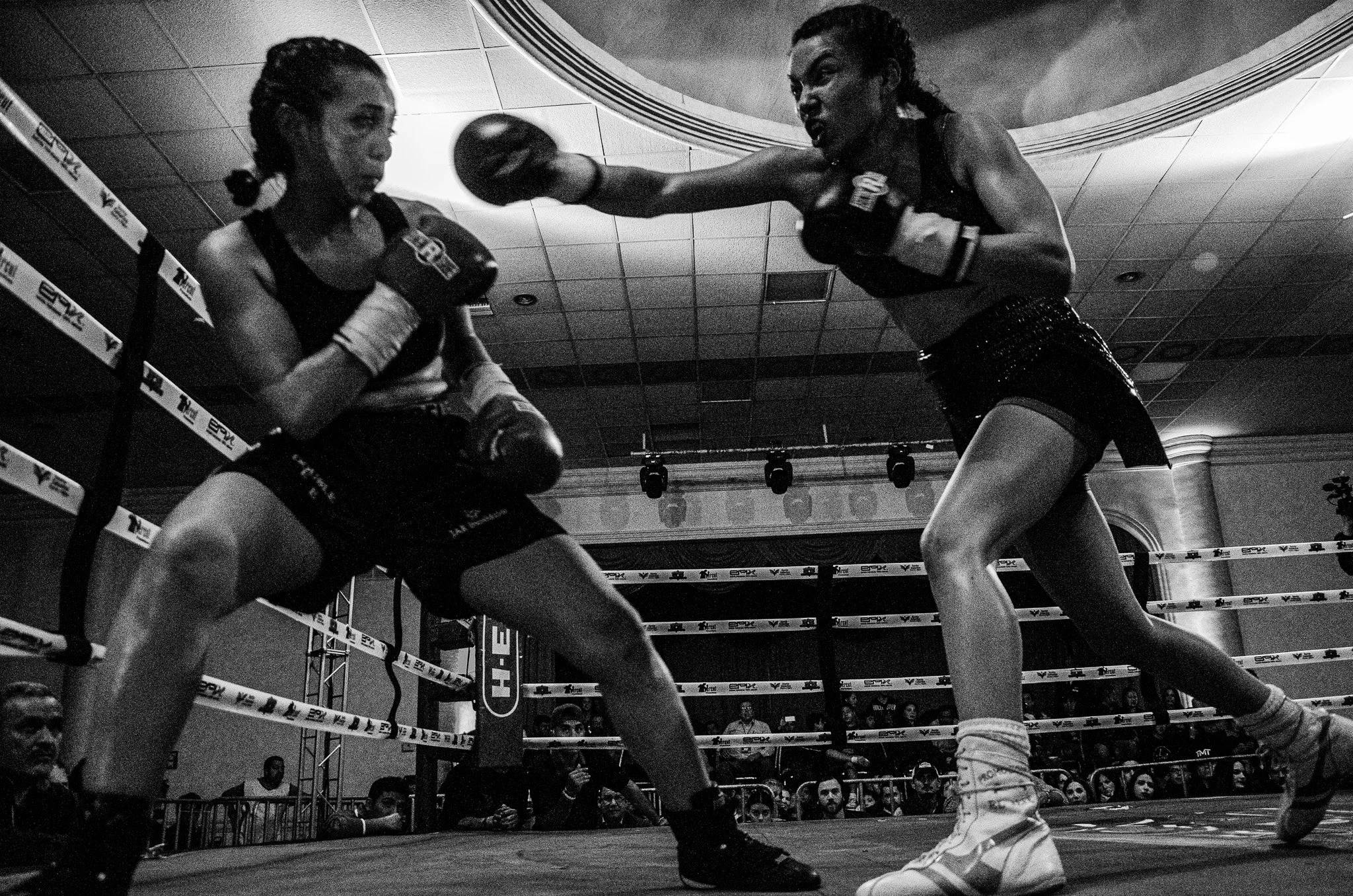 Box 2015-08.jpg