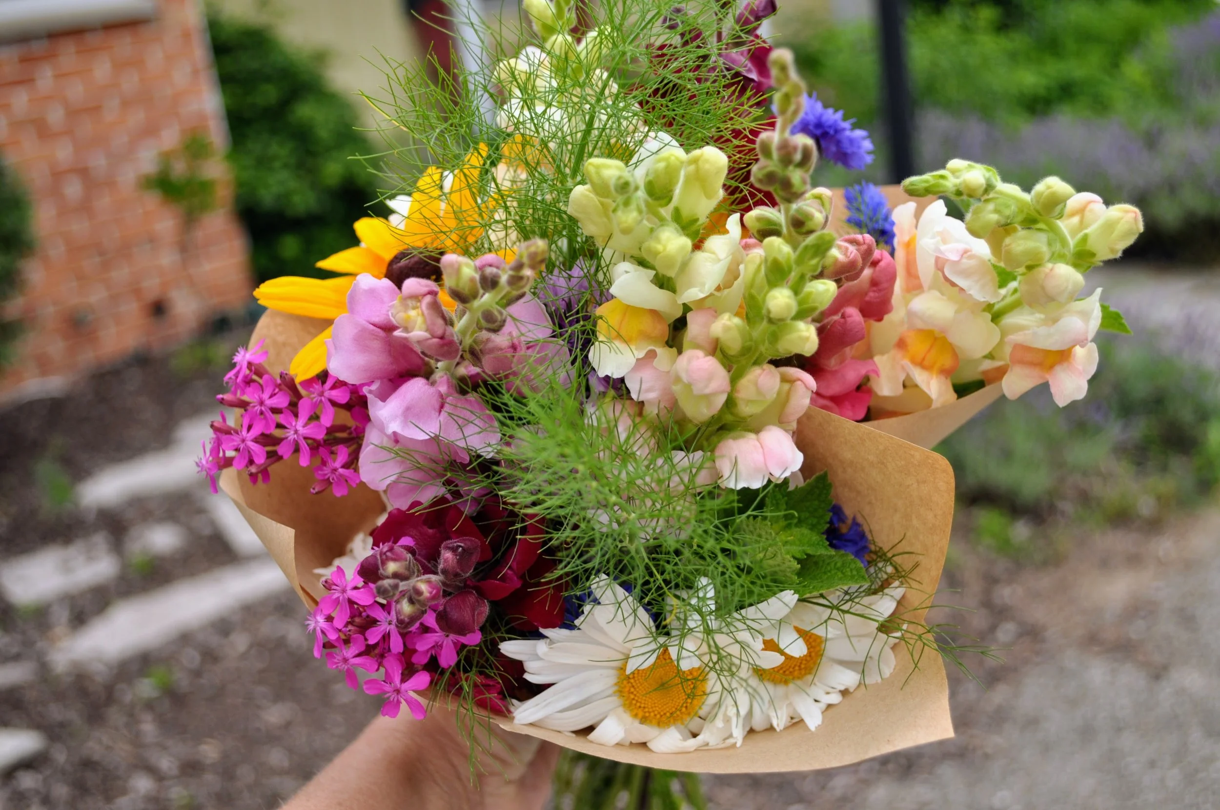 Late Summer Flower Subscriptions - Available Soon!